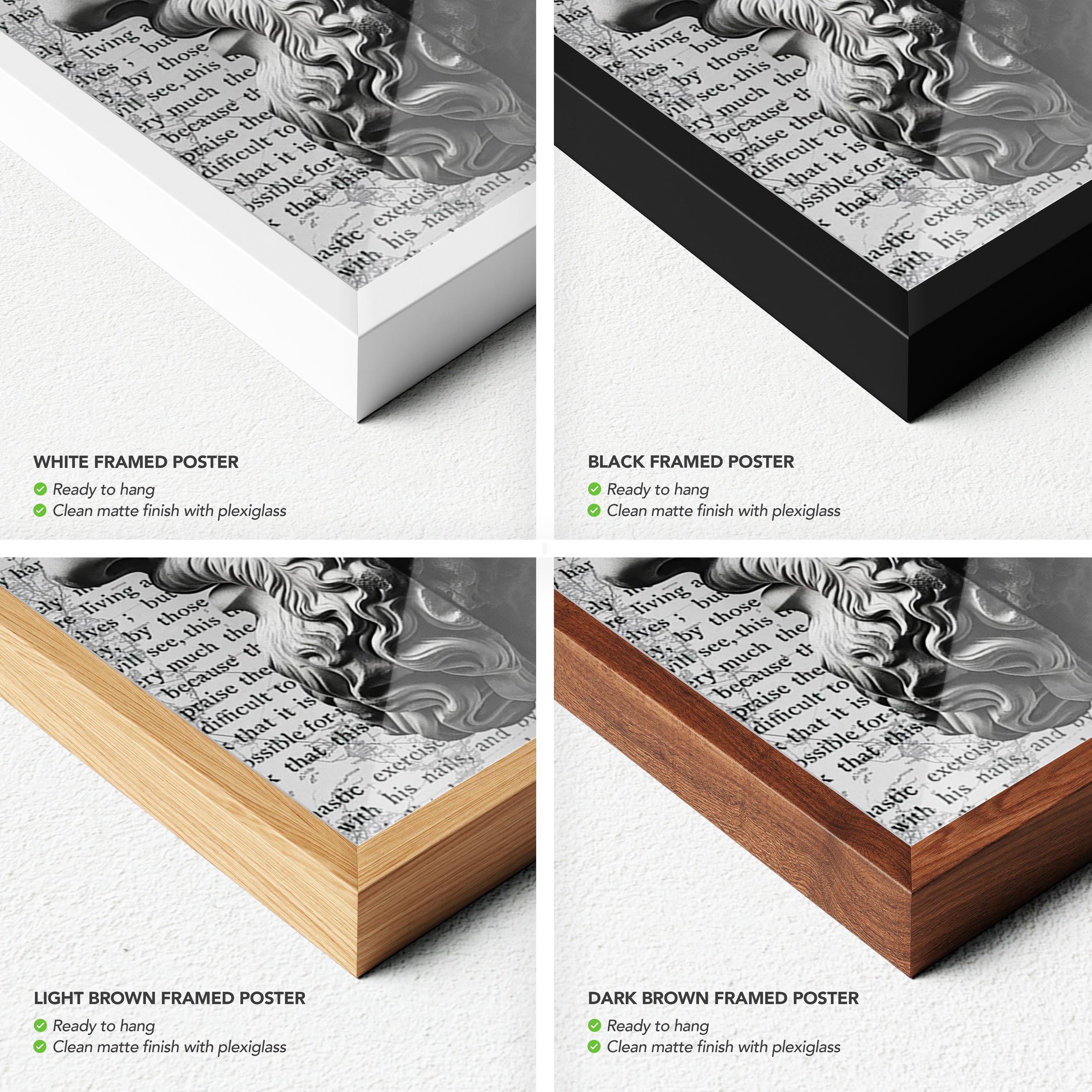 Marcus Aurelius Masculine Poster Prints | Canvas Wall Art | Stoic Ancient Sculpture