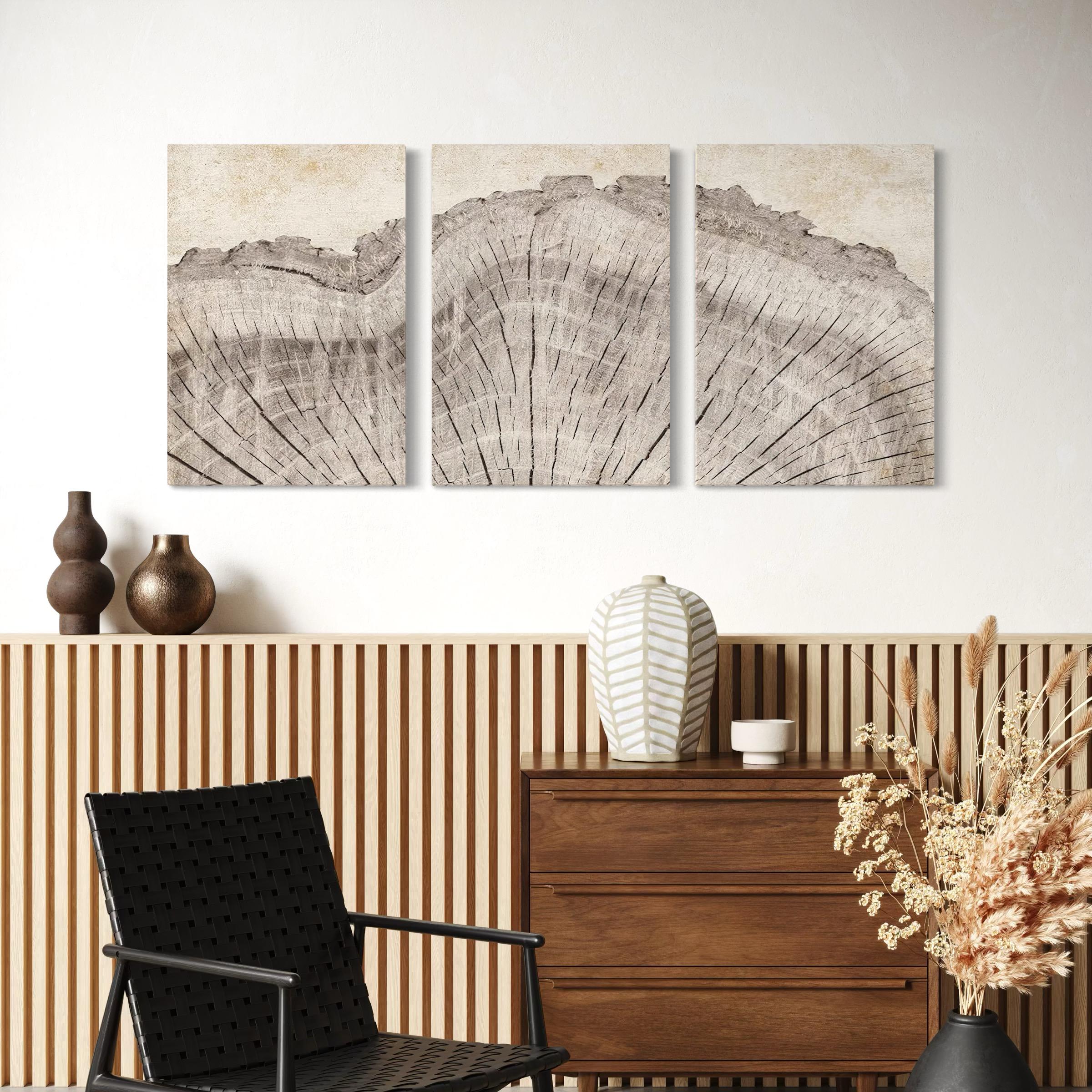Framed Wall Art Canvas | Poster Print Set of 3 Oak Wood Tree Rings | Neutral Boho Decor