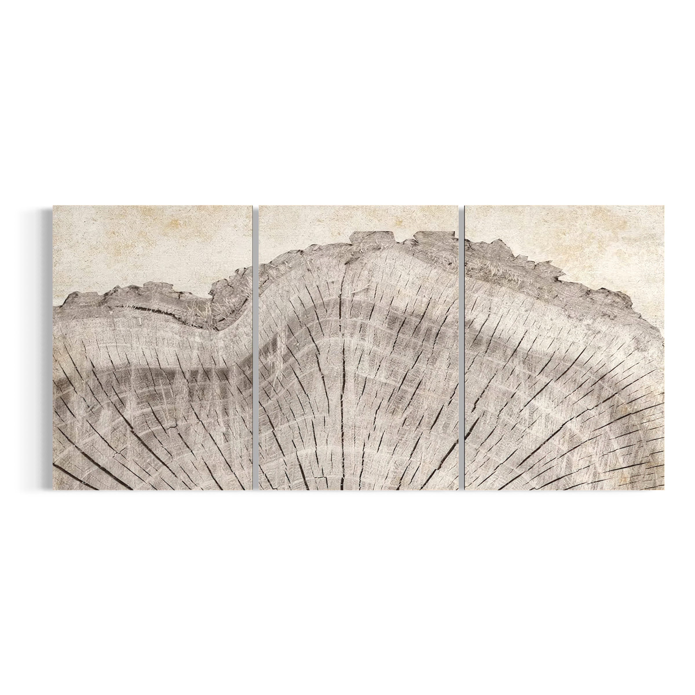 A triptych artwork depicting a close-up view of a tree trunk or branch, with intricate patterns and textures visible.