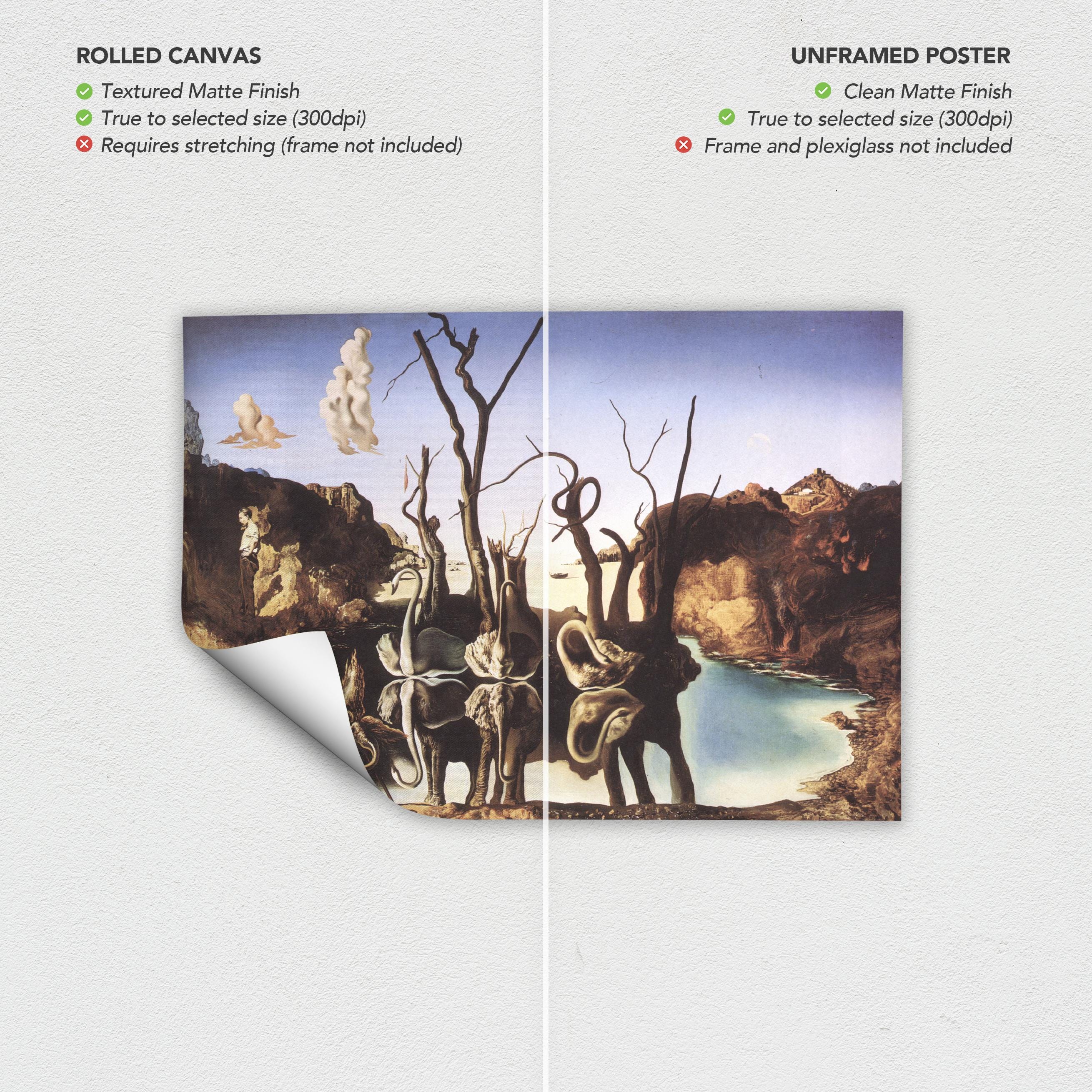 Salvador Dali Swans Reflecting Elephants Surrealism Modern Canvas Art | Poster Print