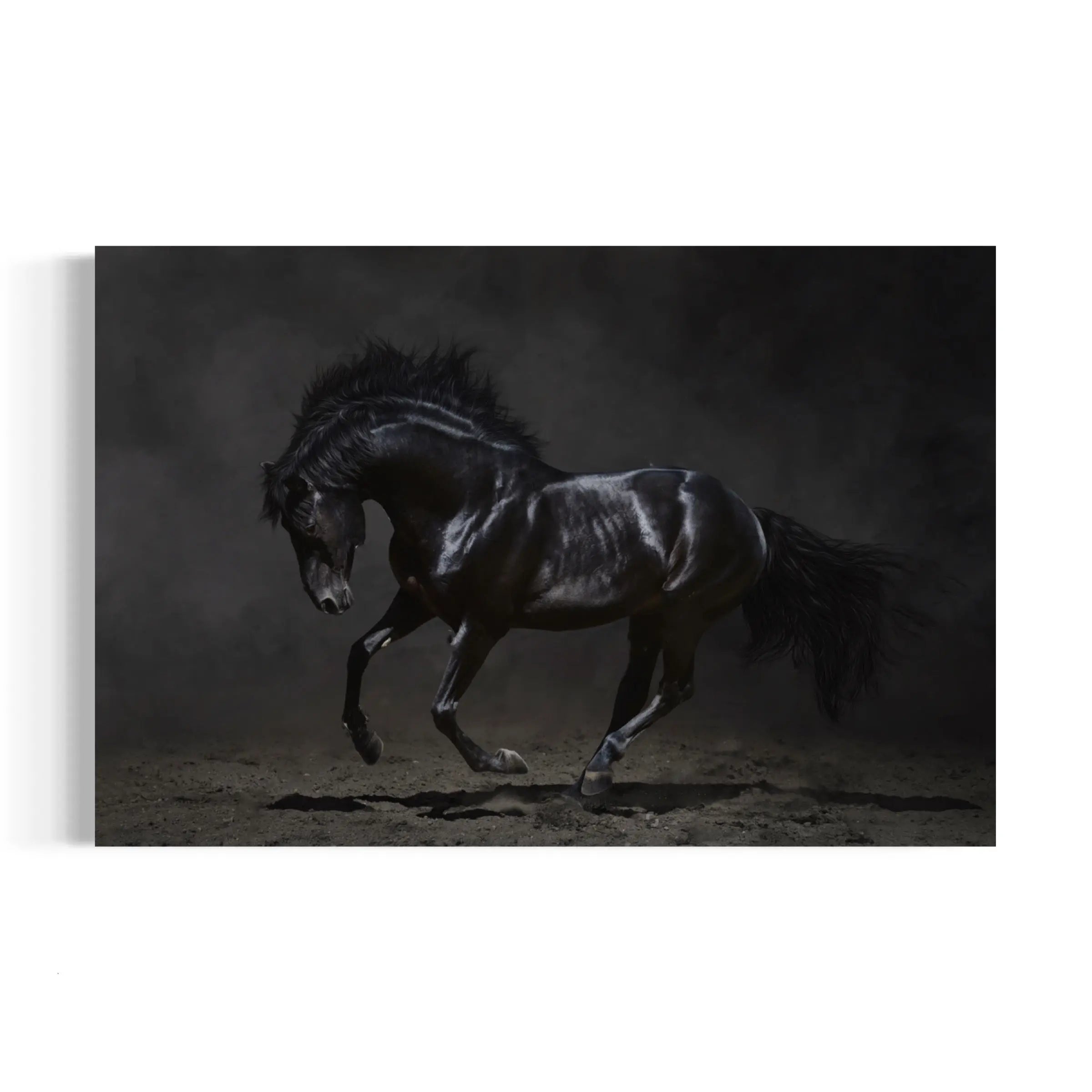a black horse is galloping in the dark