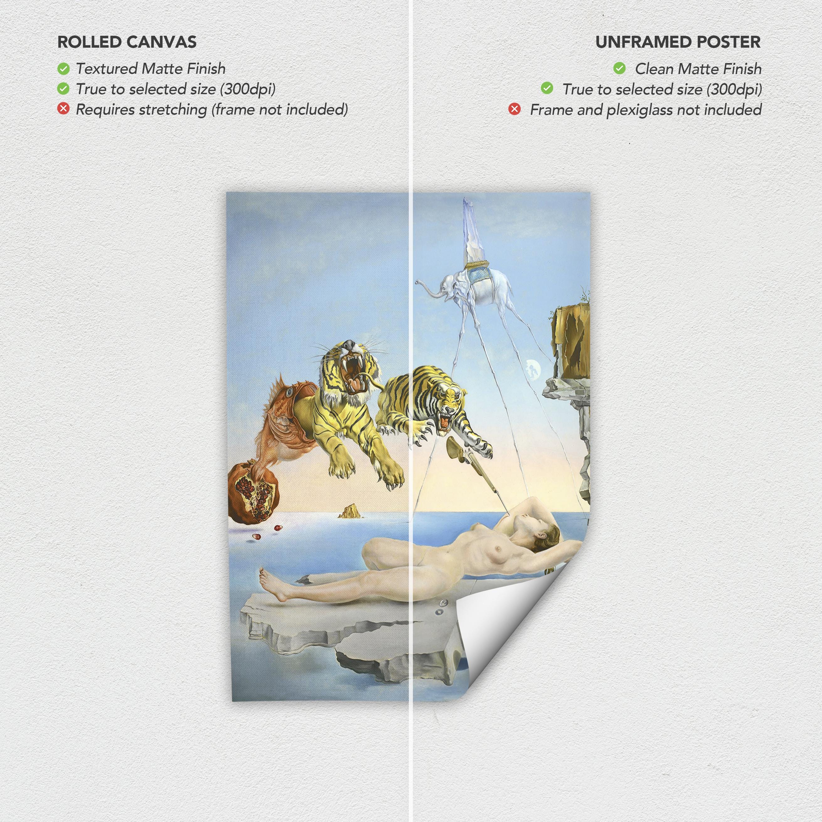 Salvador Dali Dream Caused by the Flight of a Bee Surrealism Canvas Art | Poster Print