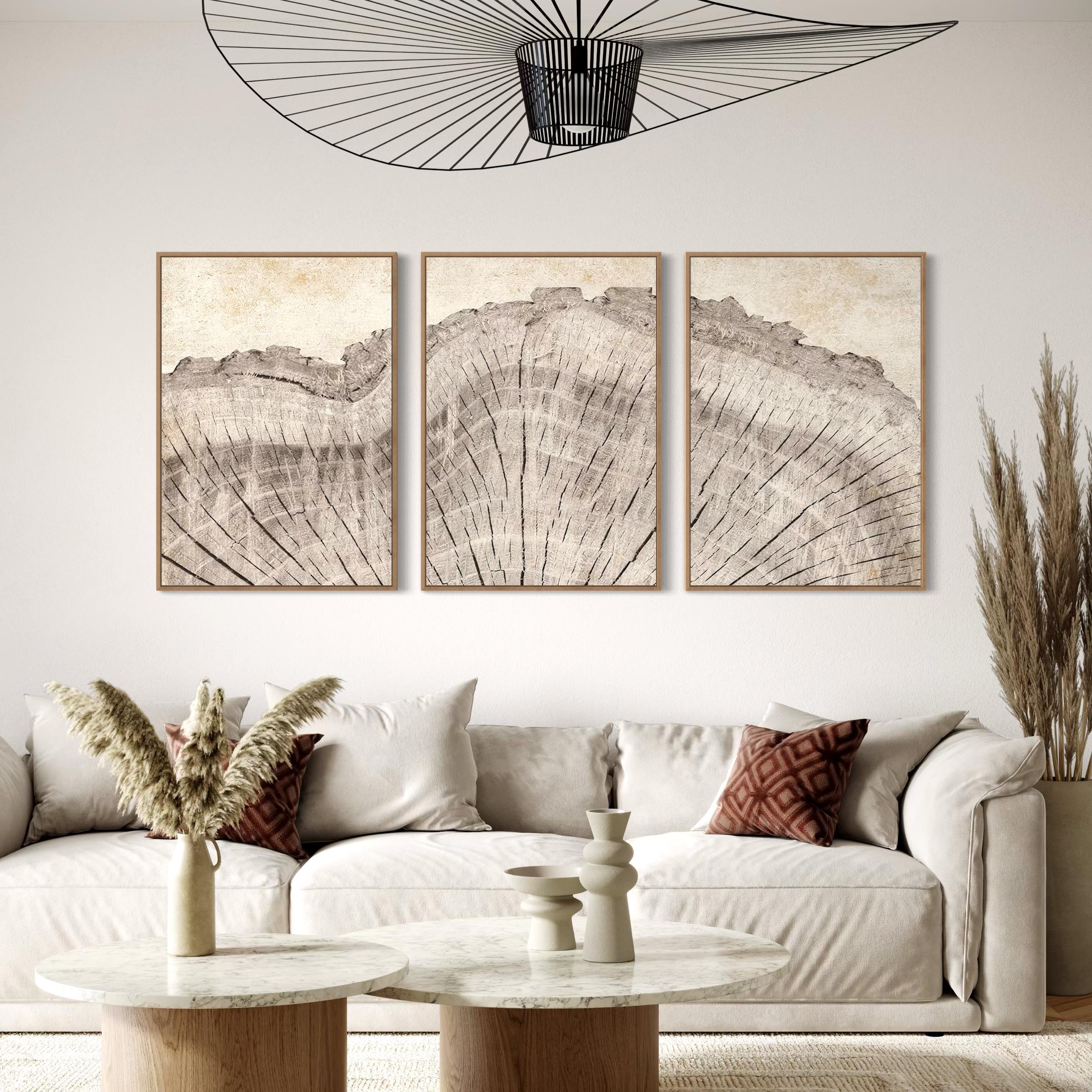 Framed Wall Art Canvas | Poster Print Set of 3 Oak Wood Tree Rings | Neutral Boho Decor