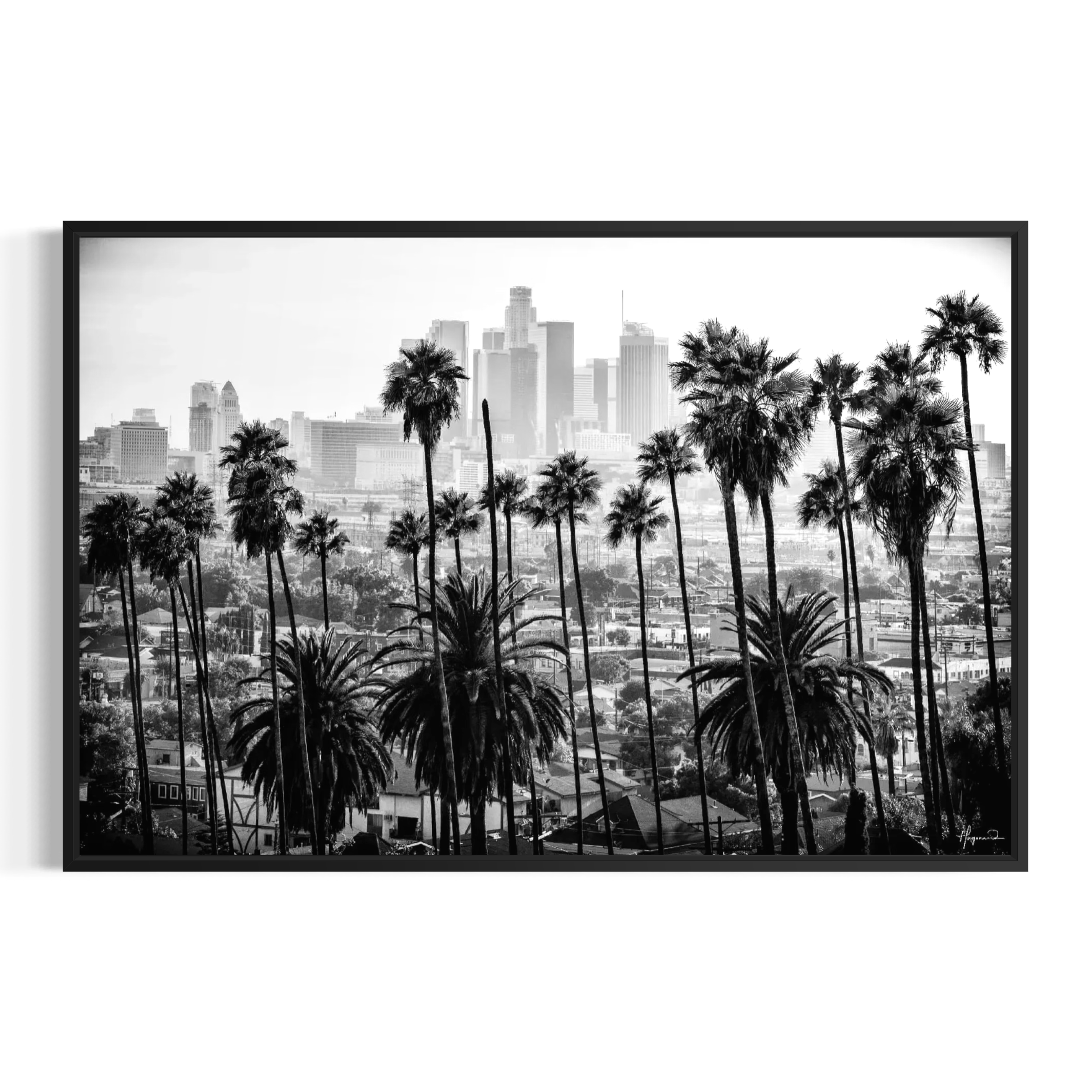 A black and white photograph of a city skyline with palm trees in the foreground.