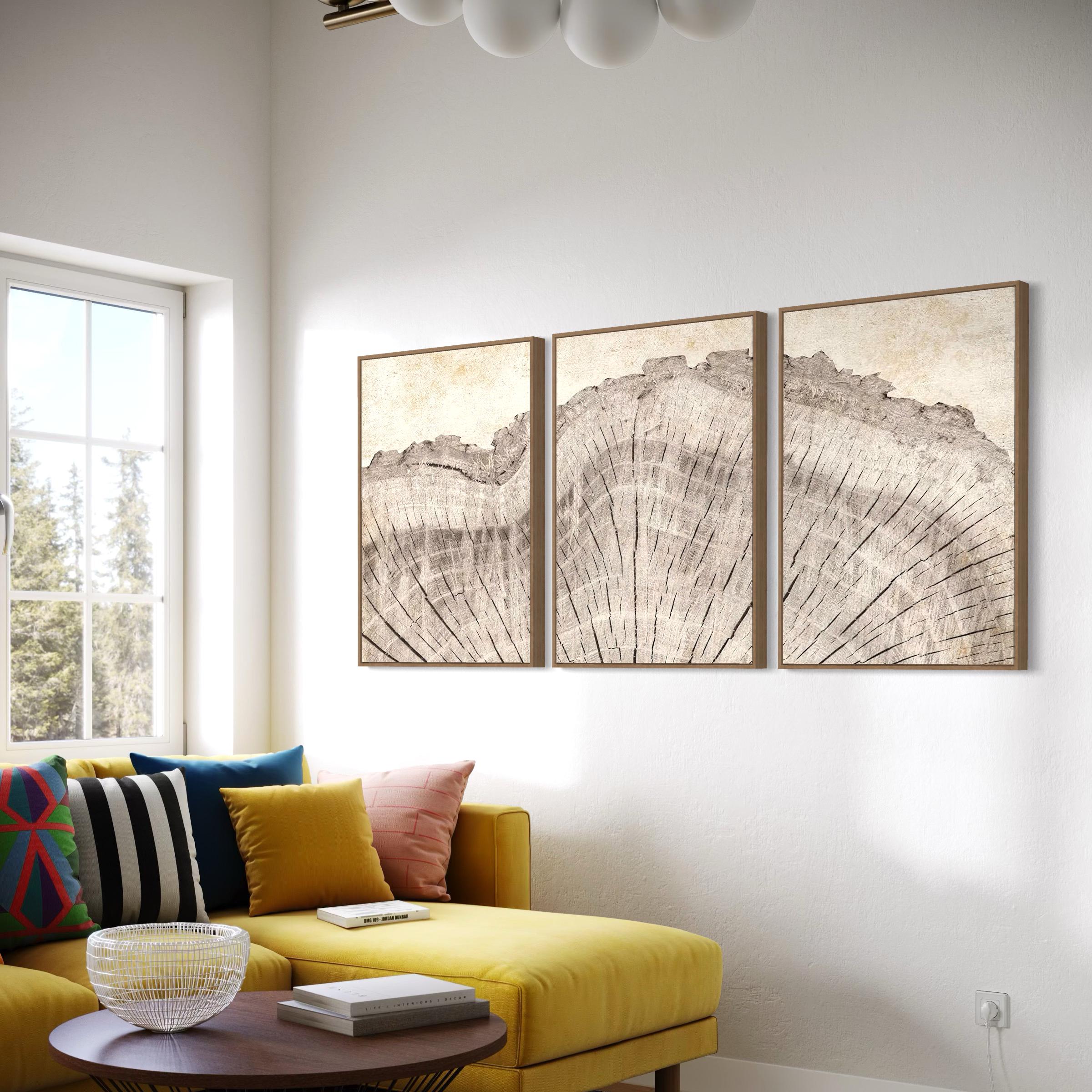 Framed Wall Art Canvas | Poster Print Set of 3 Oak Wood Tree Rings | Neutral Boho Decor