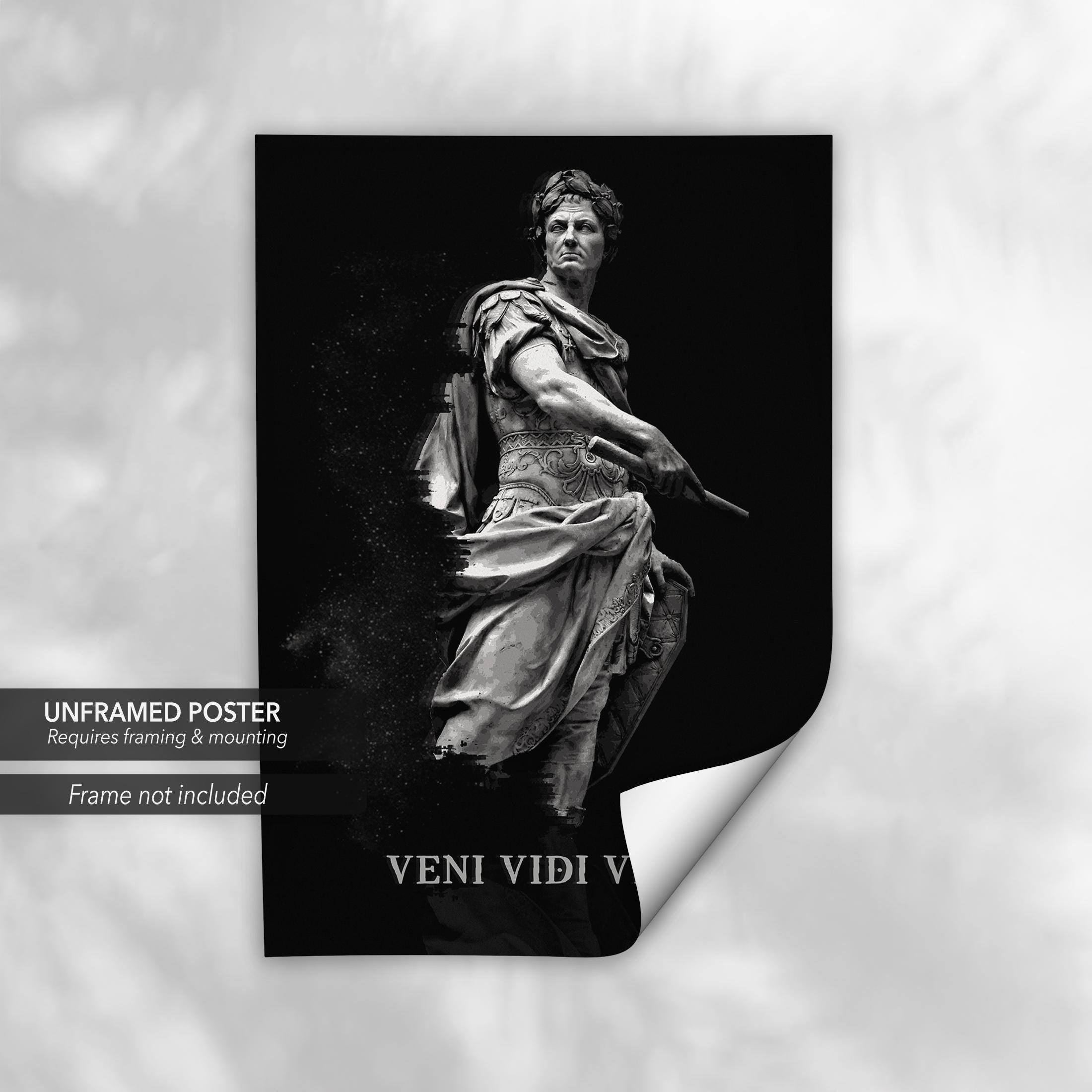 VENI VIDI VICI Julius Caesar | Historical Canvas Art | Poster Print