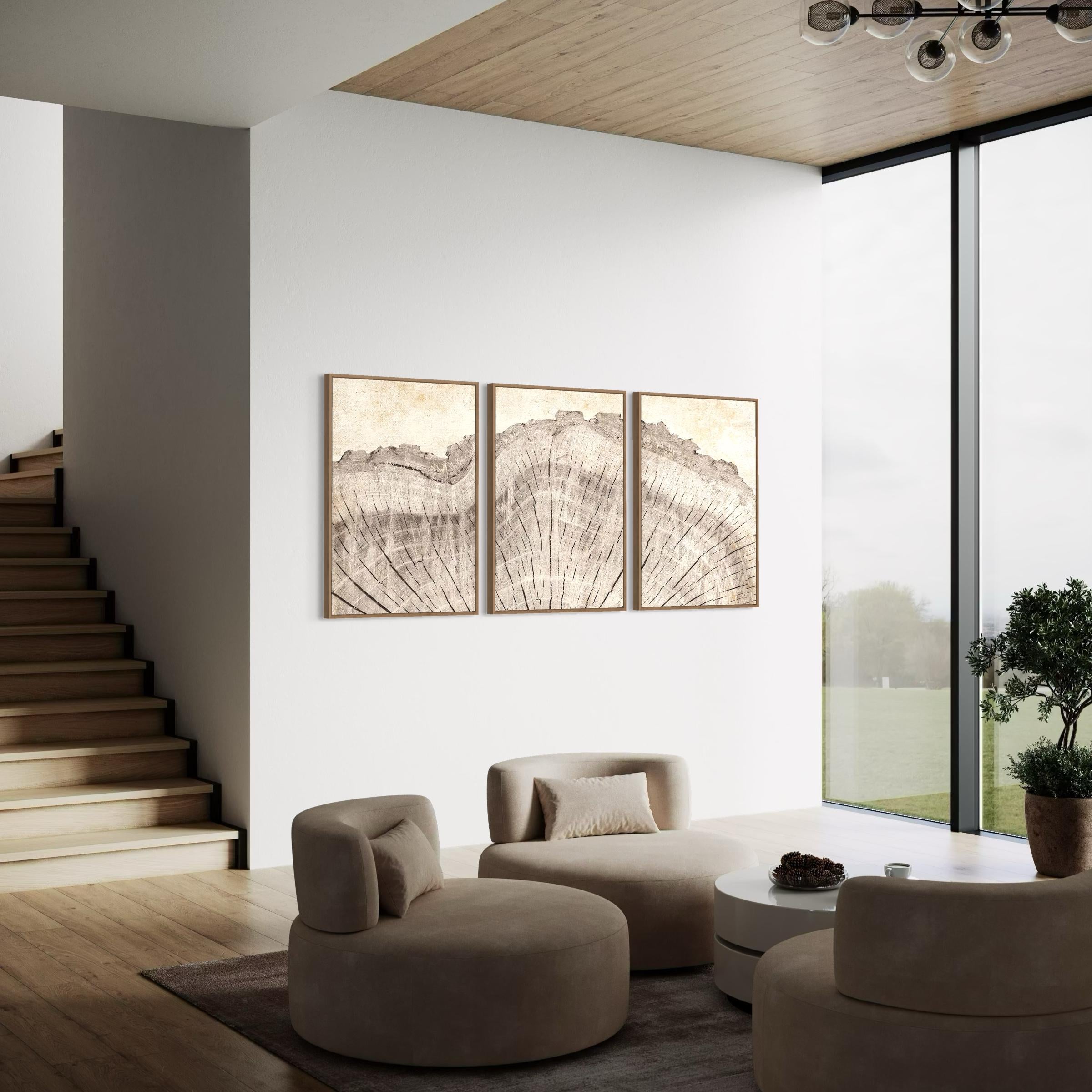 Framed Wall Art Canvas | Poster Print Set of 3 Oak Wood Tree Rings | Neutral Boho Decor