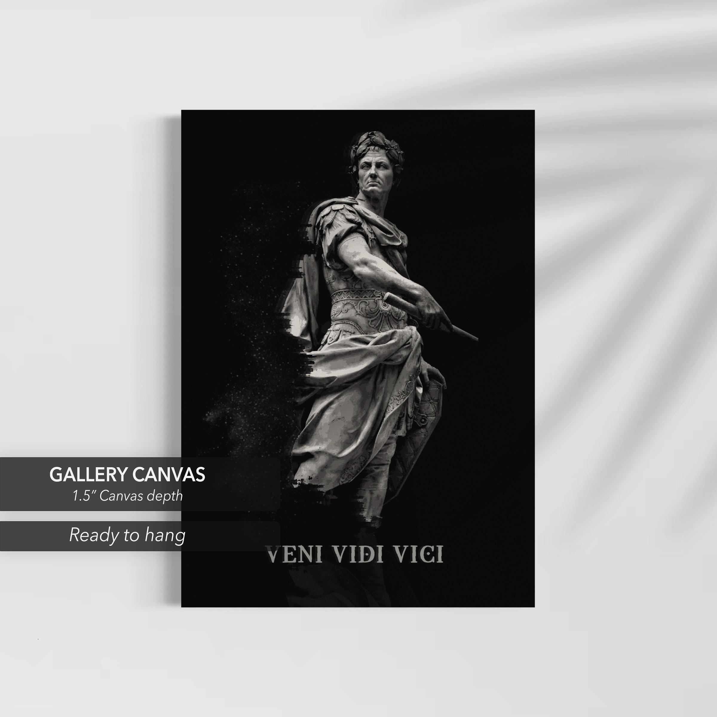 VENI VIDI VICI Julius Caesar | Historical Canvas Art | Poster Print