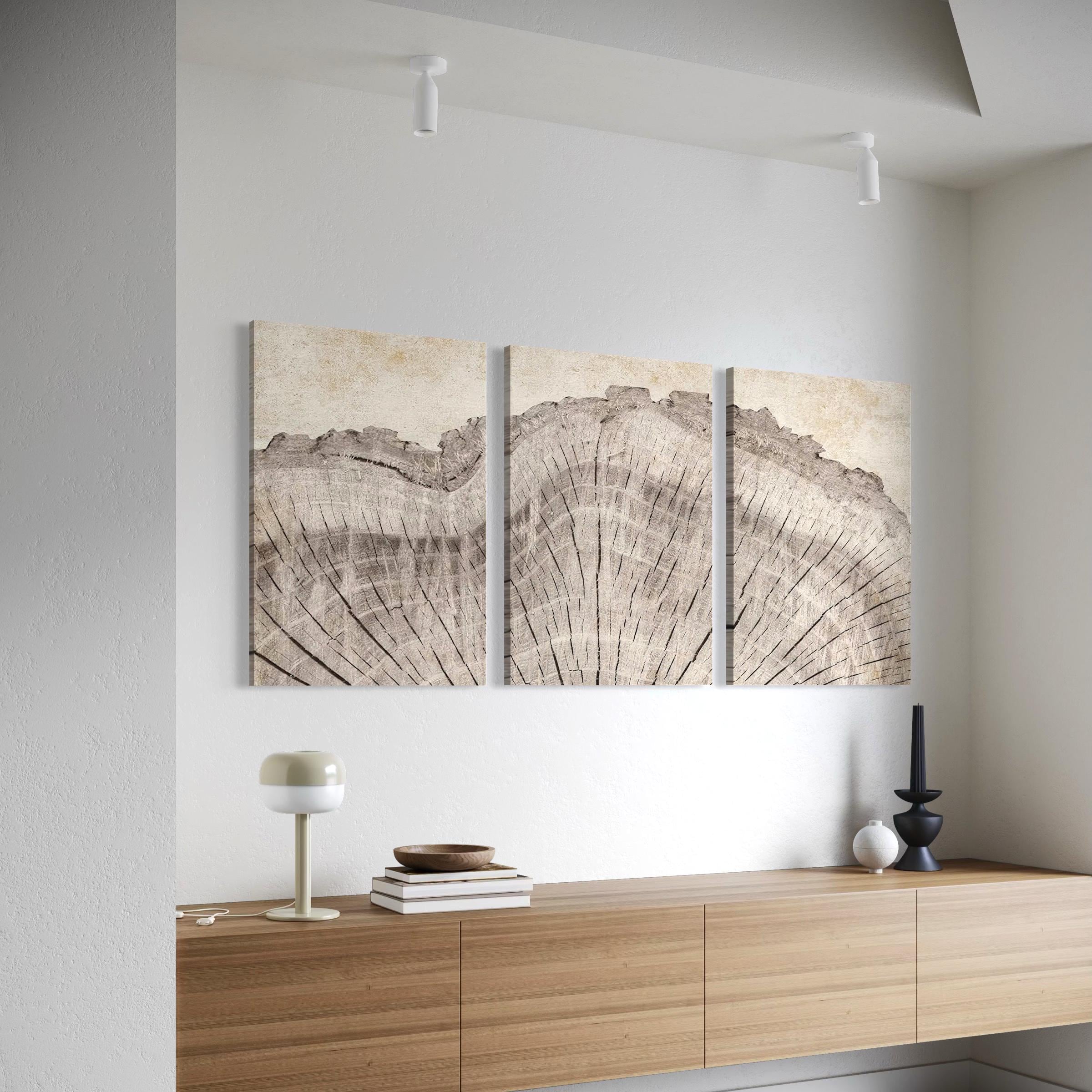 Framed Wall Art Canvas | Poster Print Set of 3 Oak Wood Tree Rings | Neutral Boho Decor