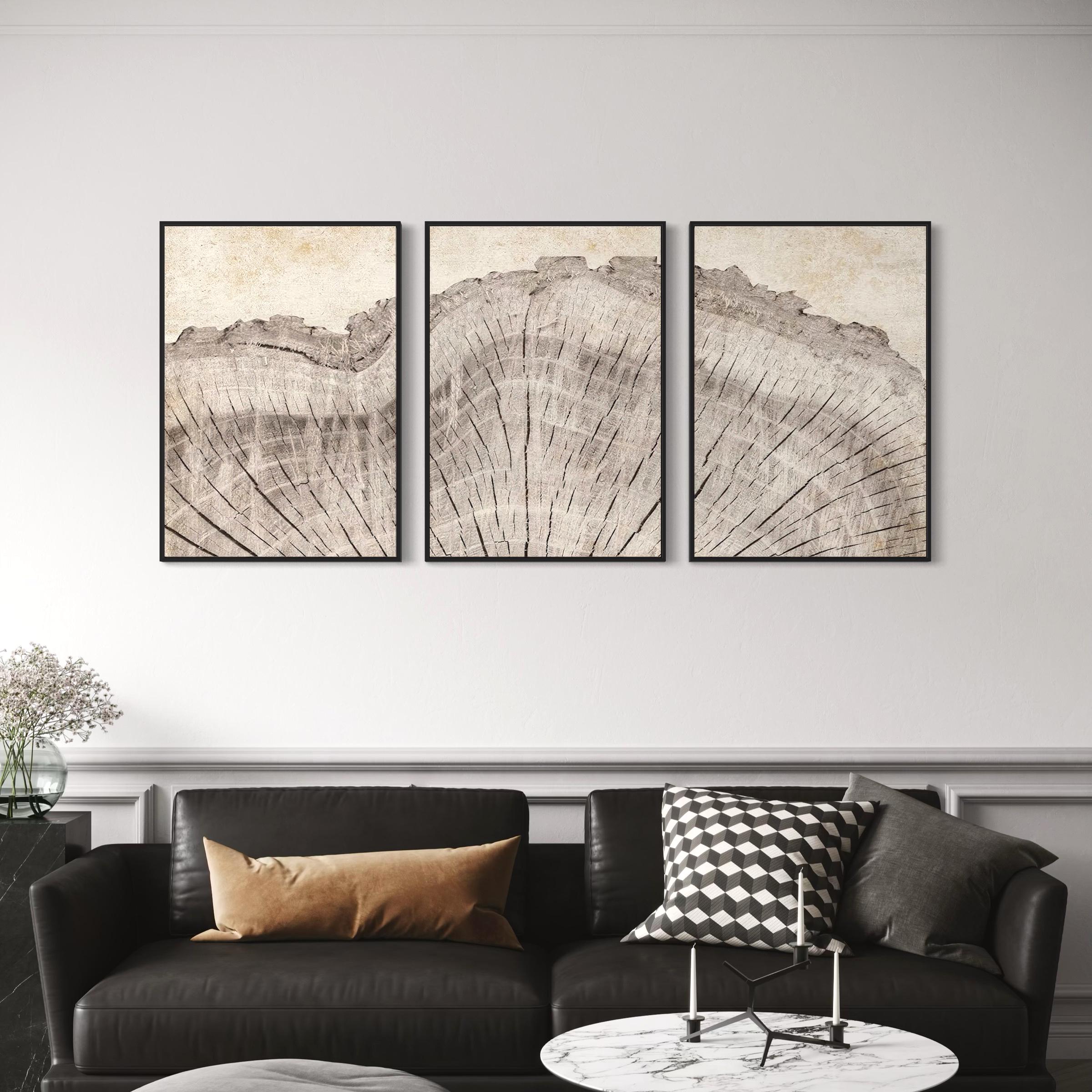 Framed Wall Art Canvas | Poster Print Set of 3 Oak Wood Tree Rings | Neutral Boho Decor