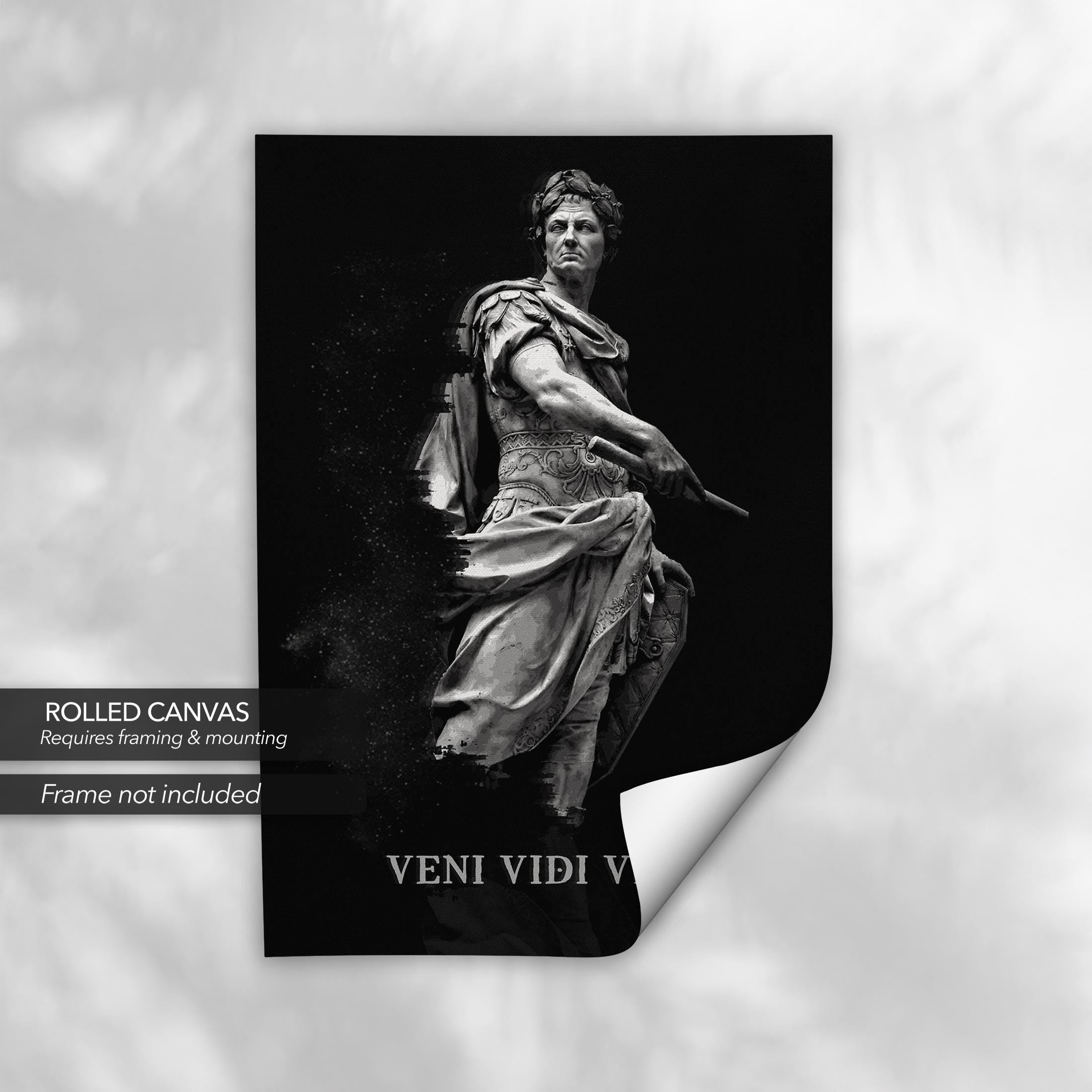 VENI VIDI VICI Julius Caesar | Historical Canvas Art | Poster Print