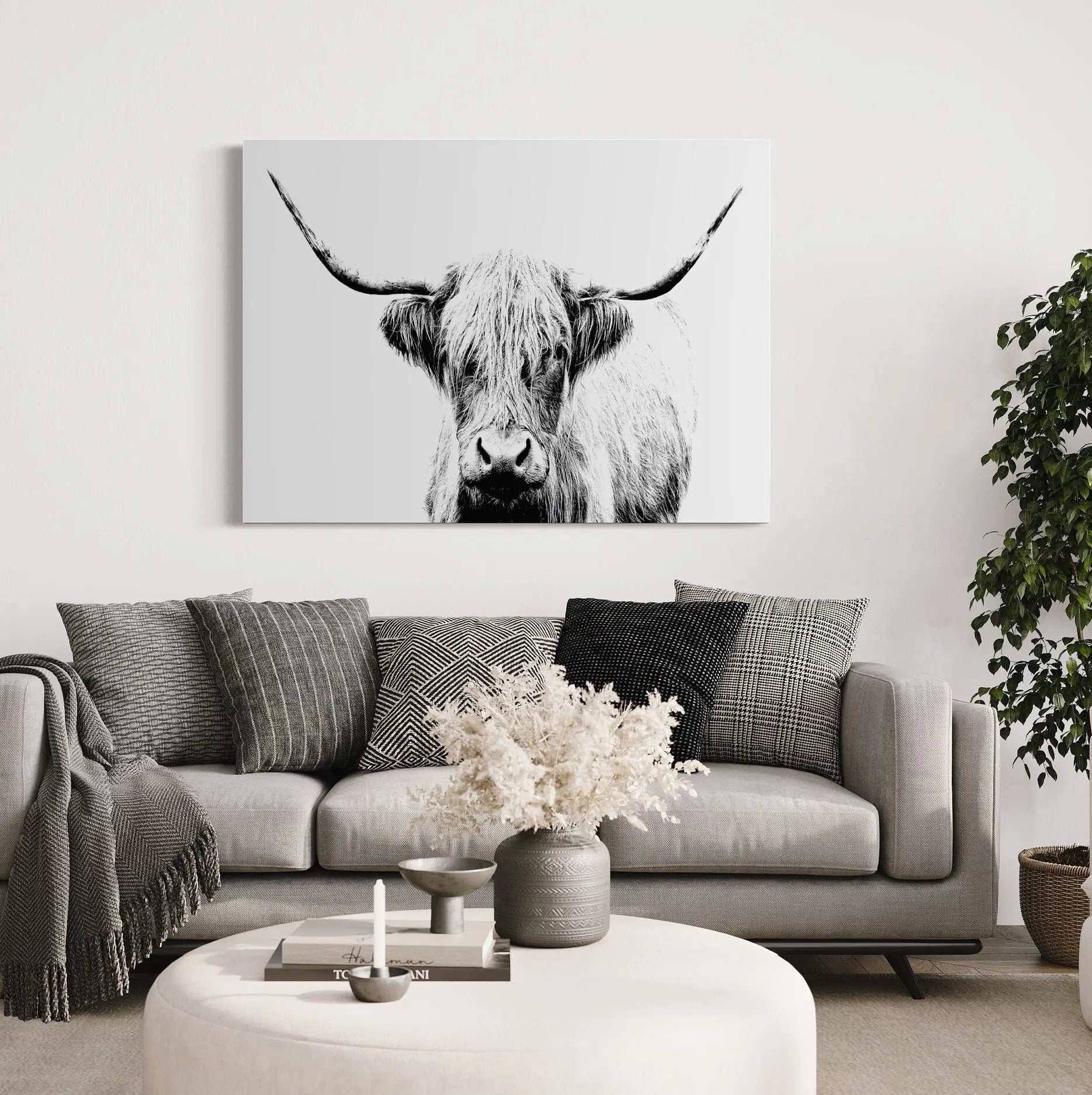 Cow Horn Black & White Art Photo Canvas Wall Art | Poster Print Canvastoria