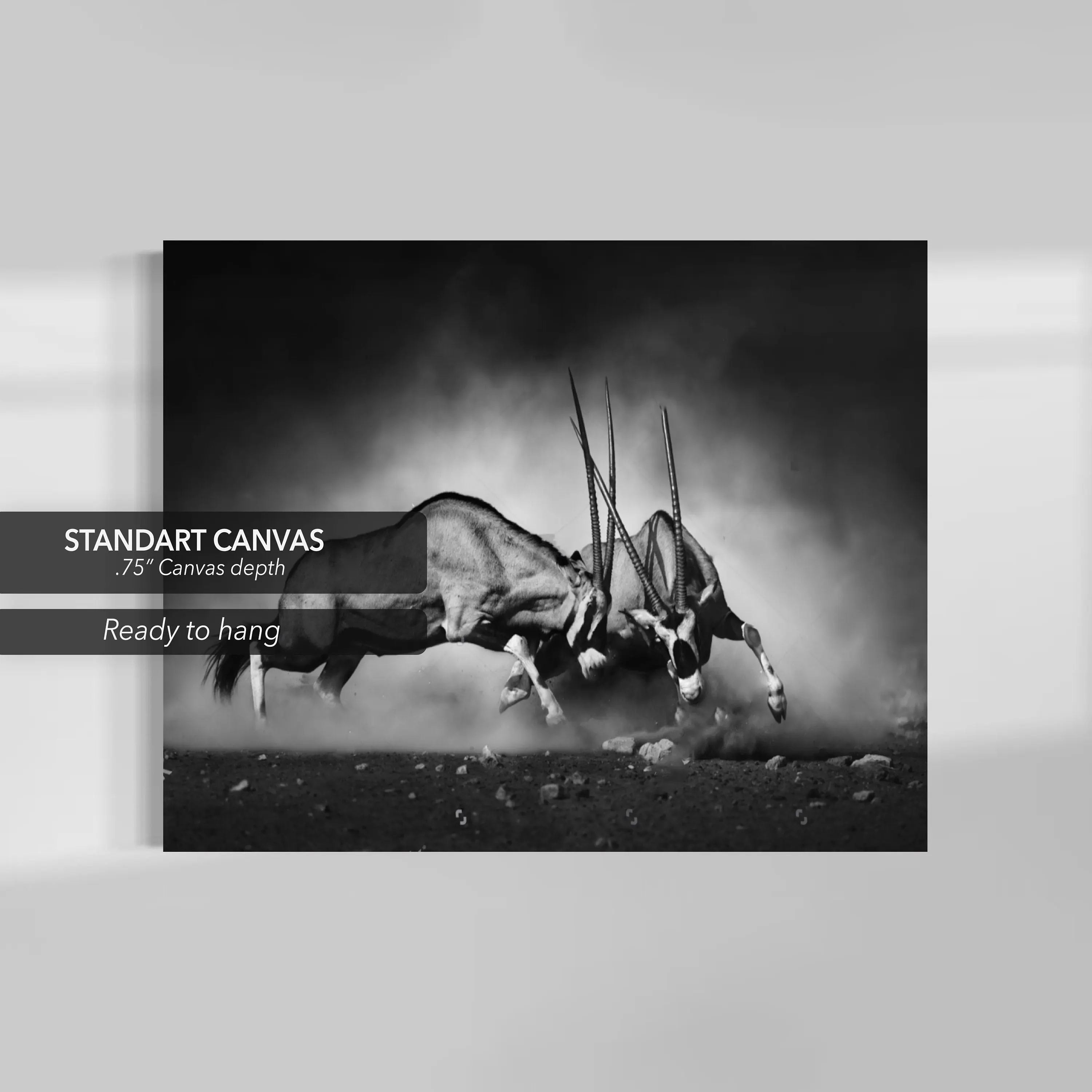 Fighting Oryxes in Wild Canvas Wall Art | Poster Print Canvastoria