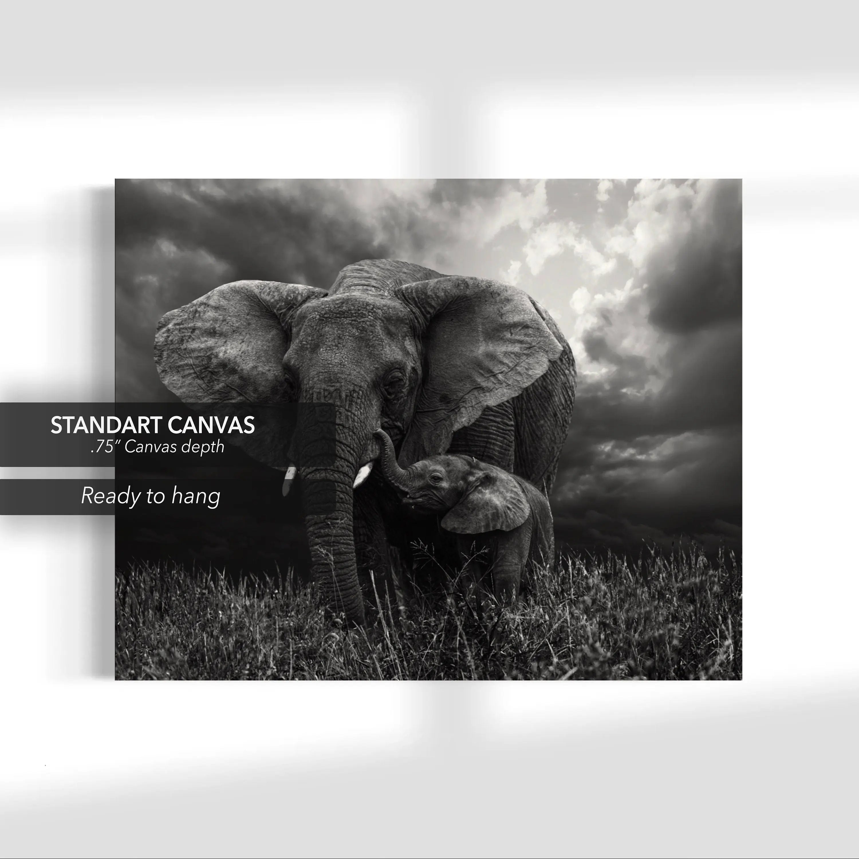 Baby Elephant Canvas Wall Art | Poster Print Canvastoria
