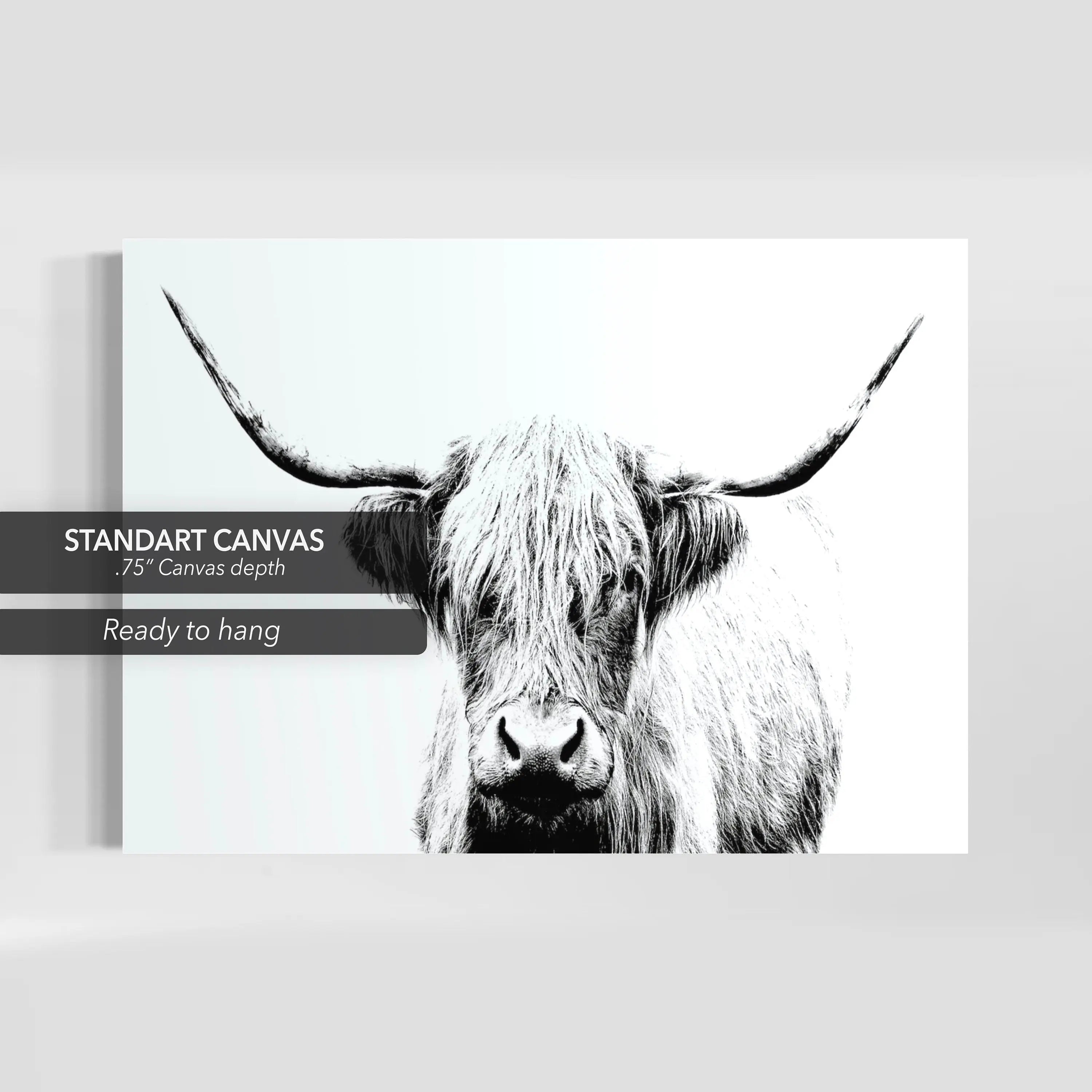 Cow Horn Black & White Art Photo Canvas Wall Art | Poster Print Canvastoria