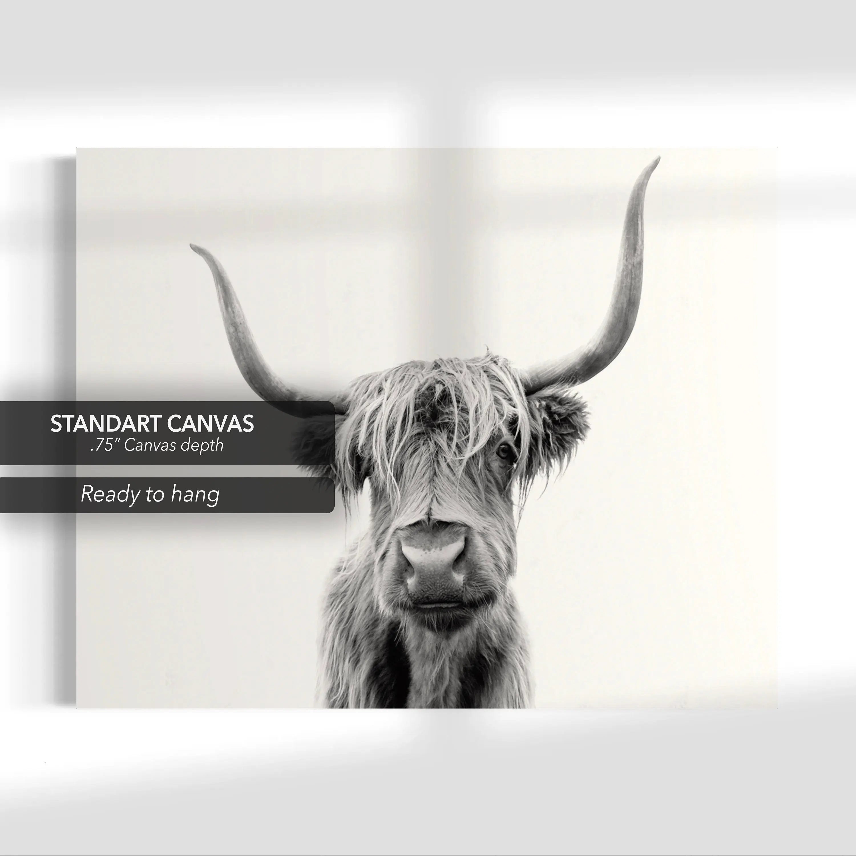 Highland Cow in Black & White Canvas Wall Art | Poster Print Canvastoria