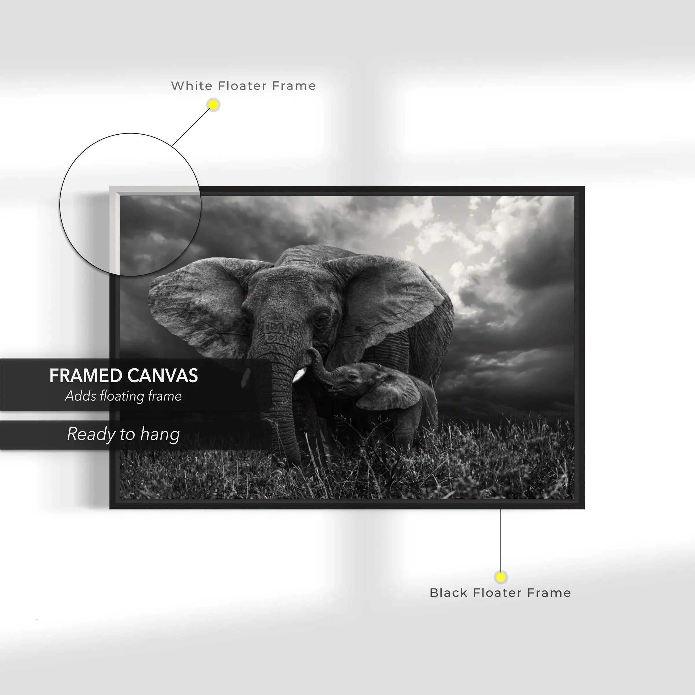 Baby Elephant Canvas Wall Art | Poster Print Canvastoria