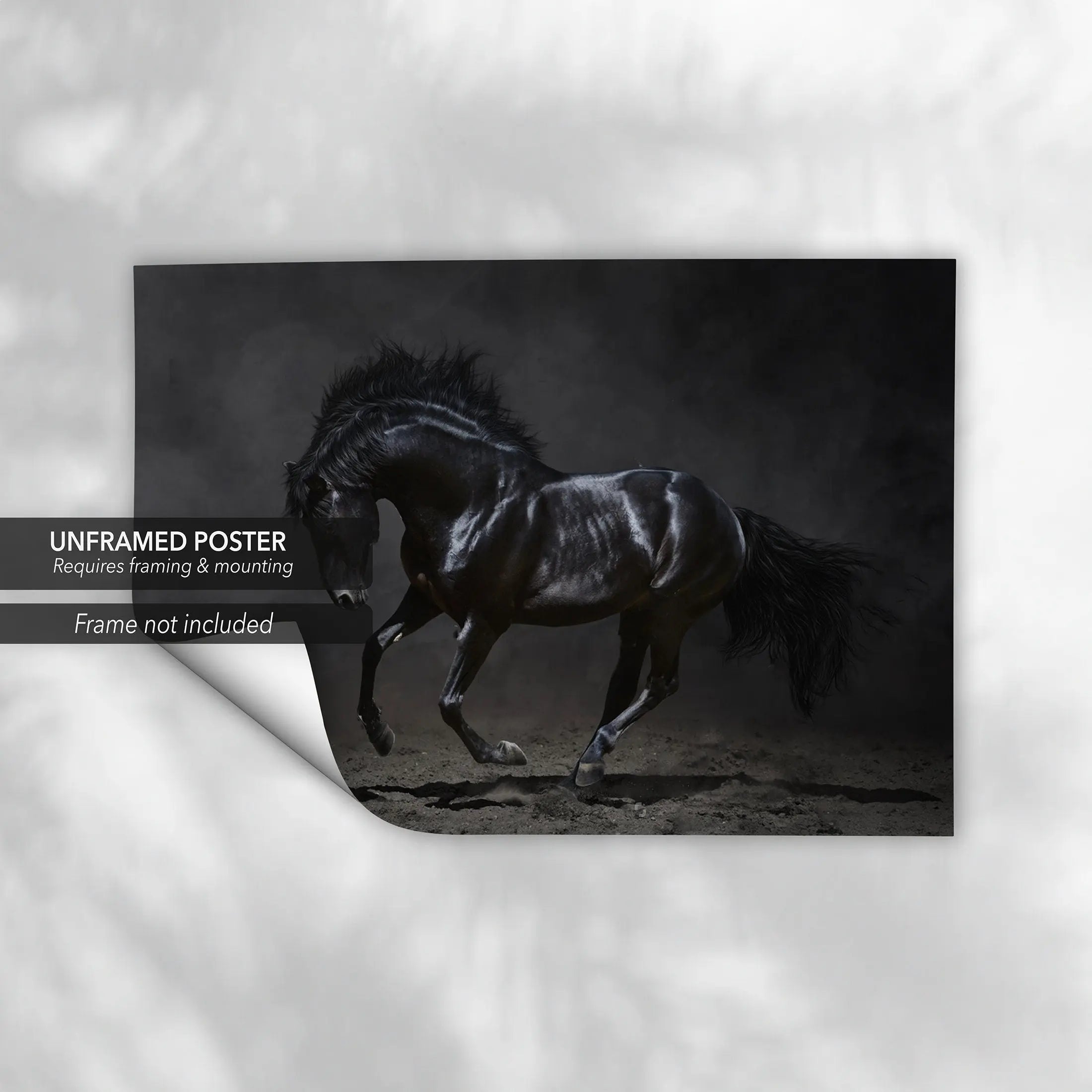 Wild Horse in Black Canvas Wall Art | Poster Print Canvastoria