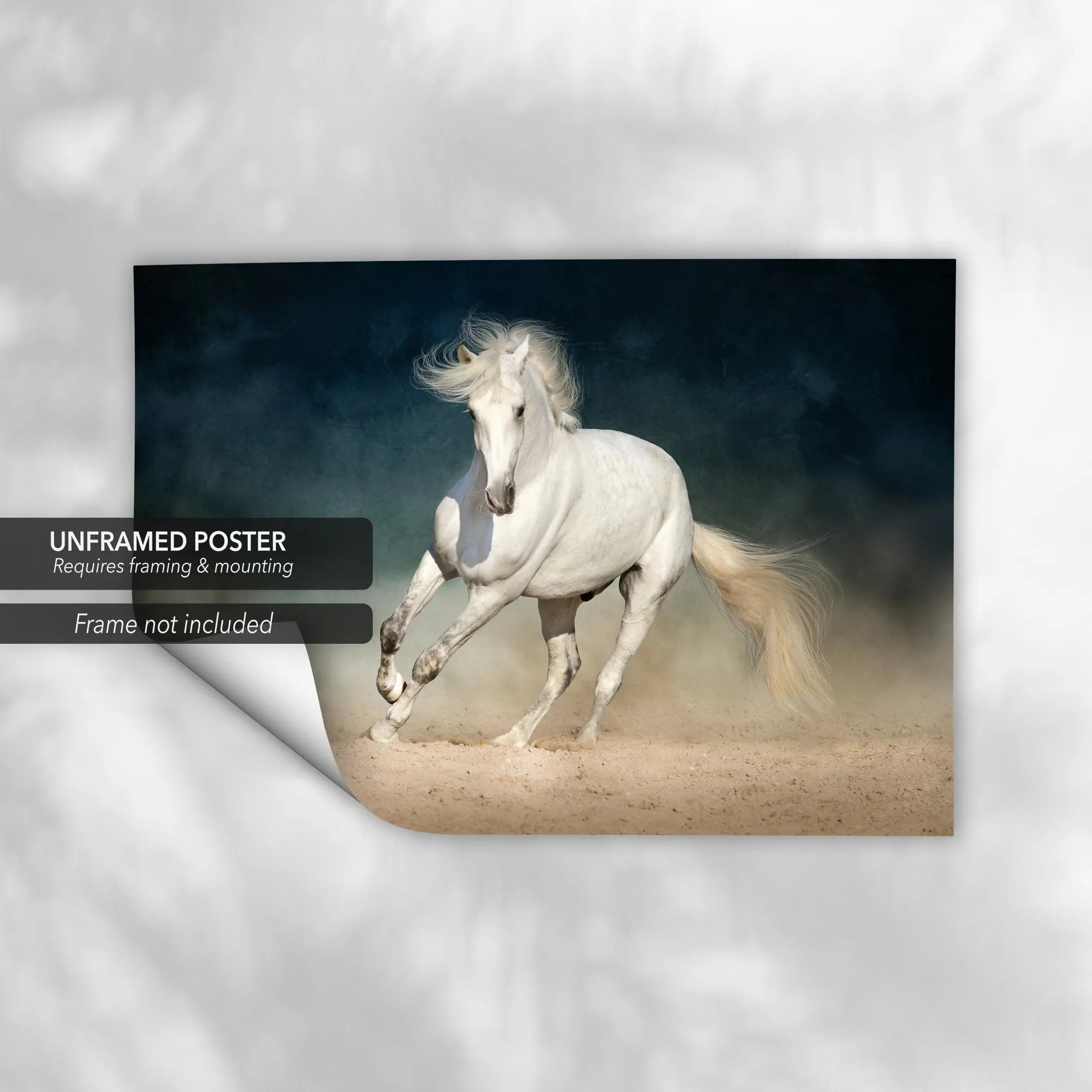 Wild White Horse Canvas Wall Art | Poster Print Canvastoria