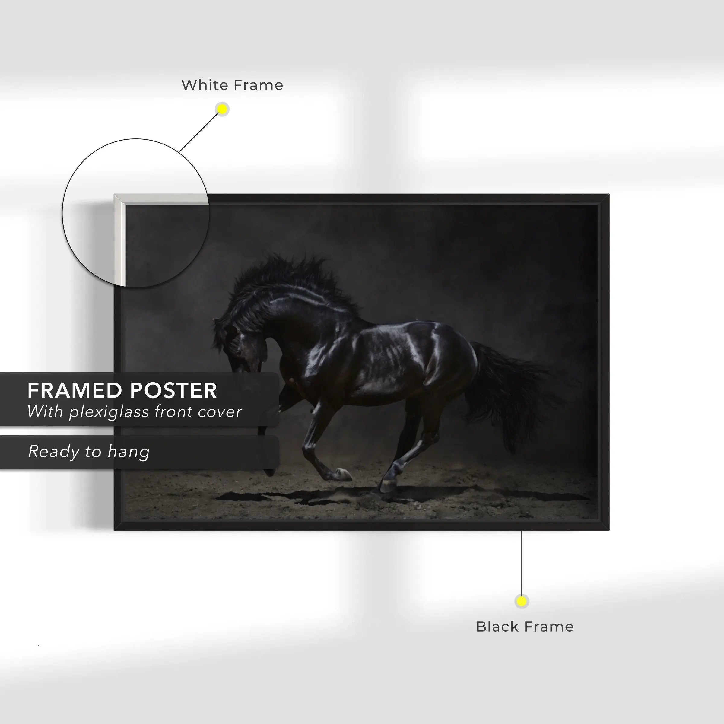 Wild Horse in Black Canvas Wall Art | Poster Print Canvastoria