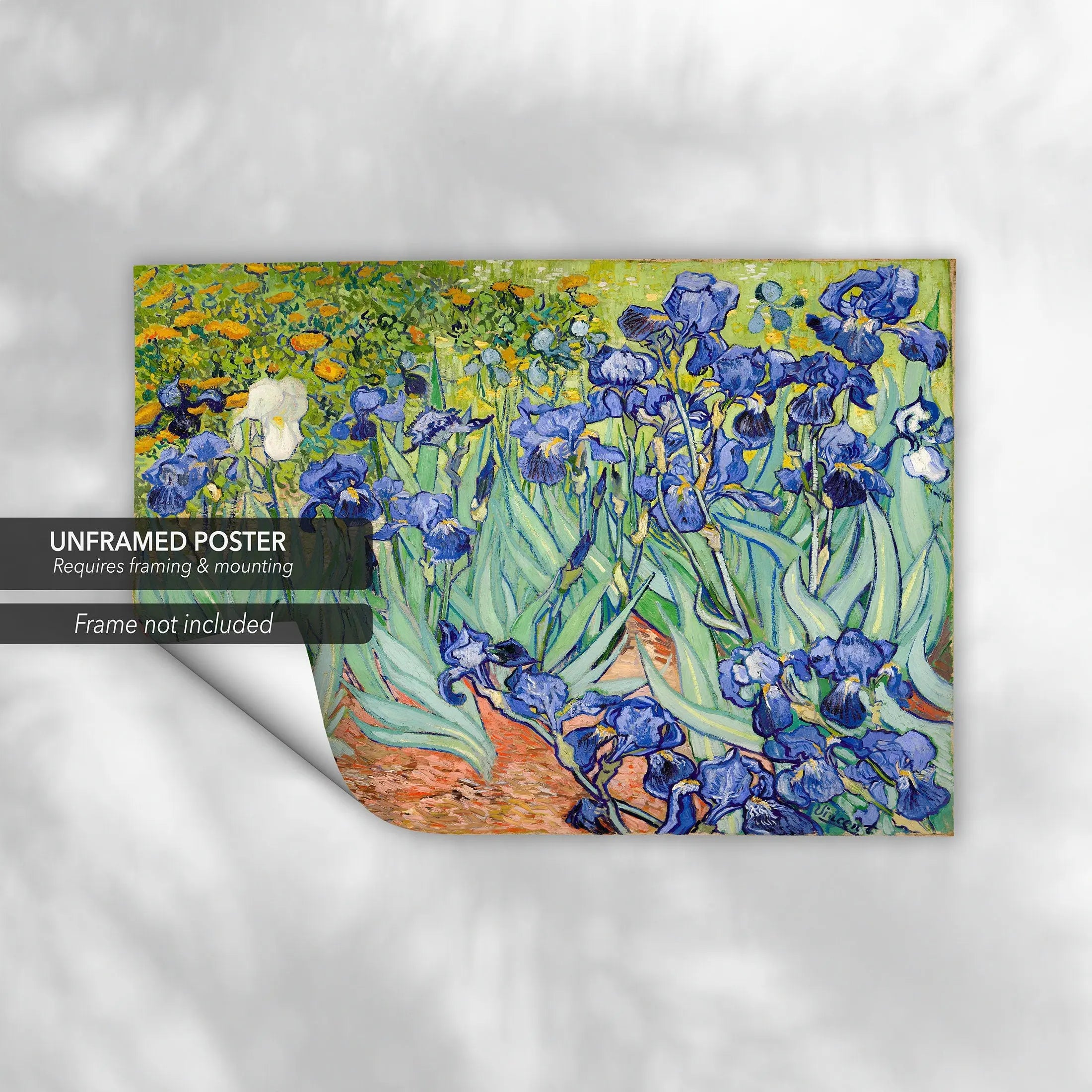 Vincent van Gogh 'Irises' Canvas Wall Art | Poster Print - Canvastoria