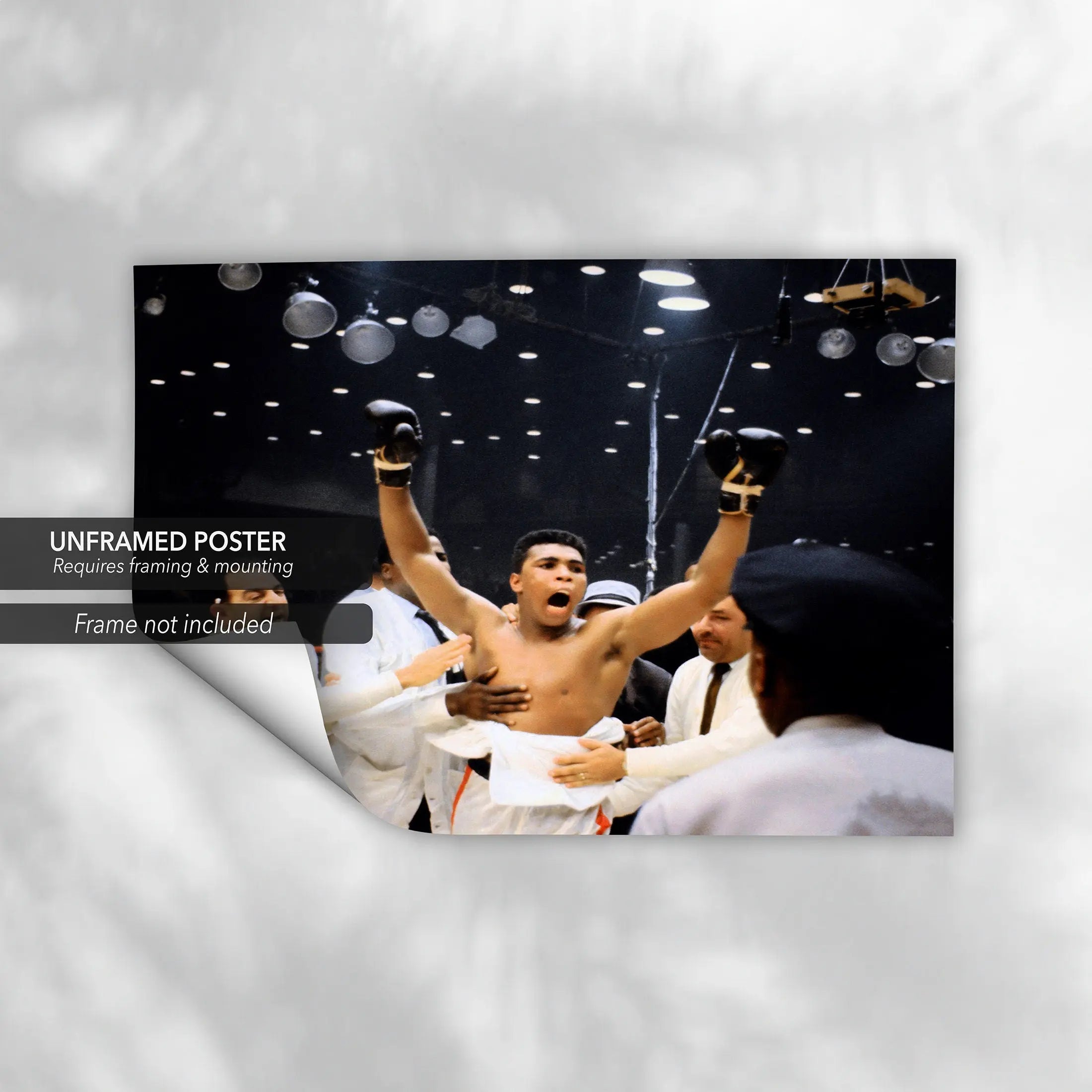 Muhammad Ali 'Victory' Canvas Wall Art | Poster Print Canvastoria
