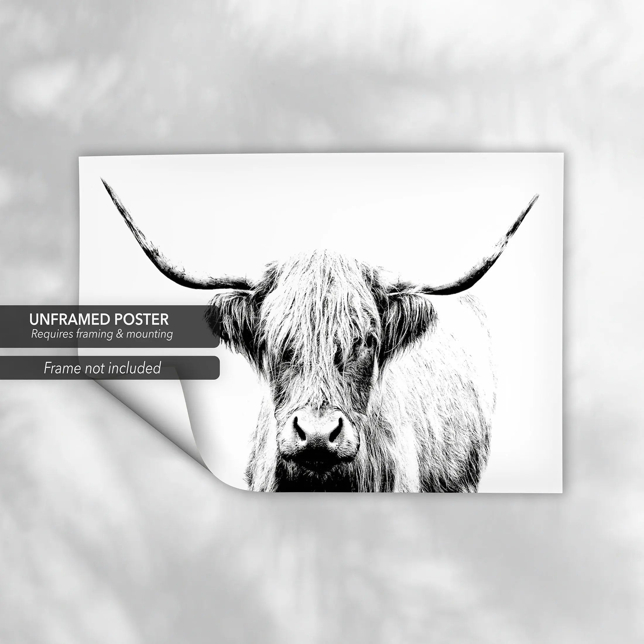 Cow Horn Black & White Art Photo Canvas Wall Art | Poster Print Canvastoria