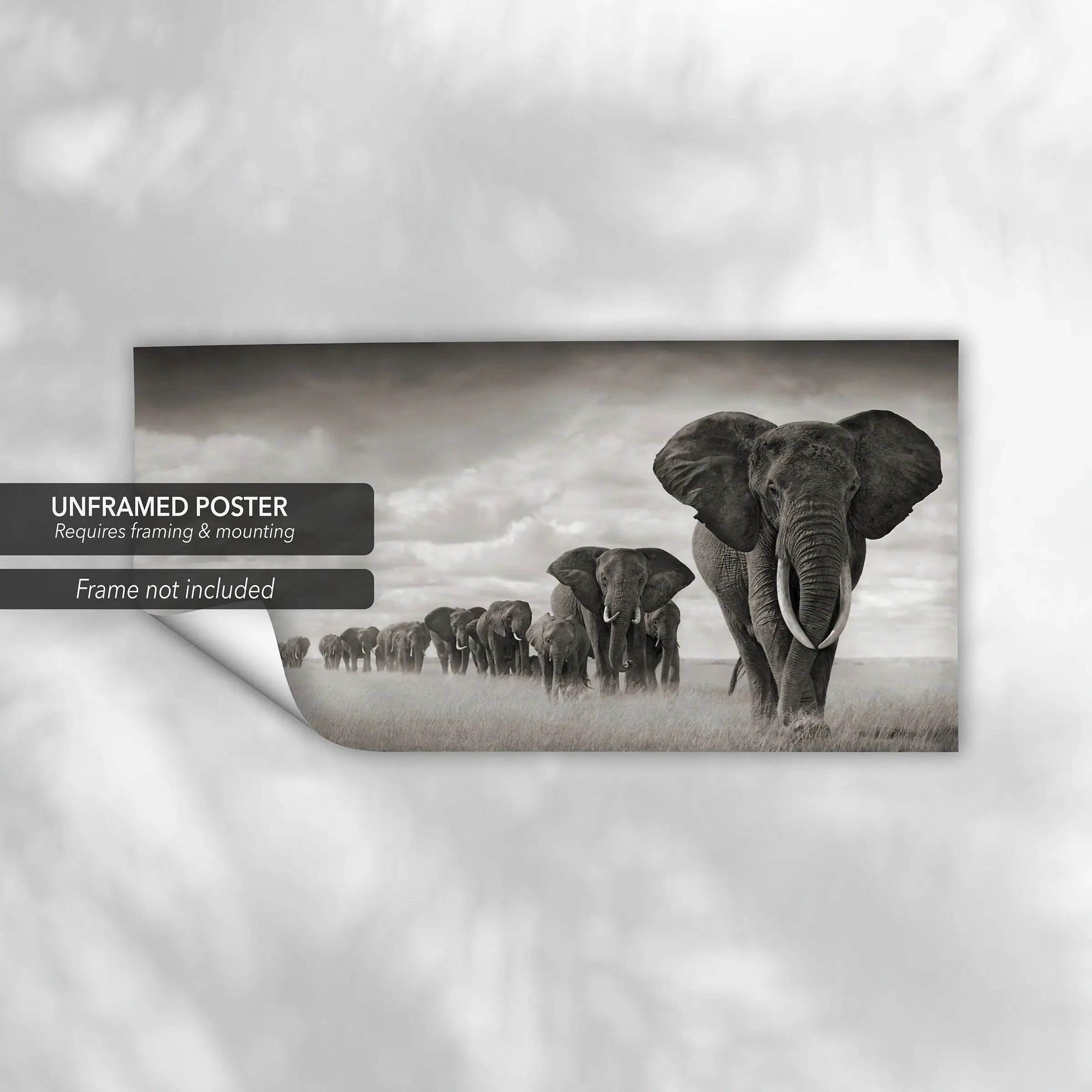 Elephants on The Way Canvas Wall Art | Poster Print - Canvastoria