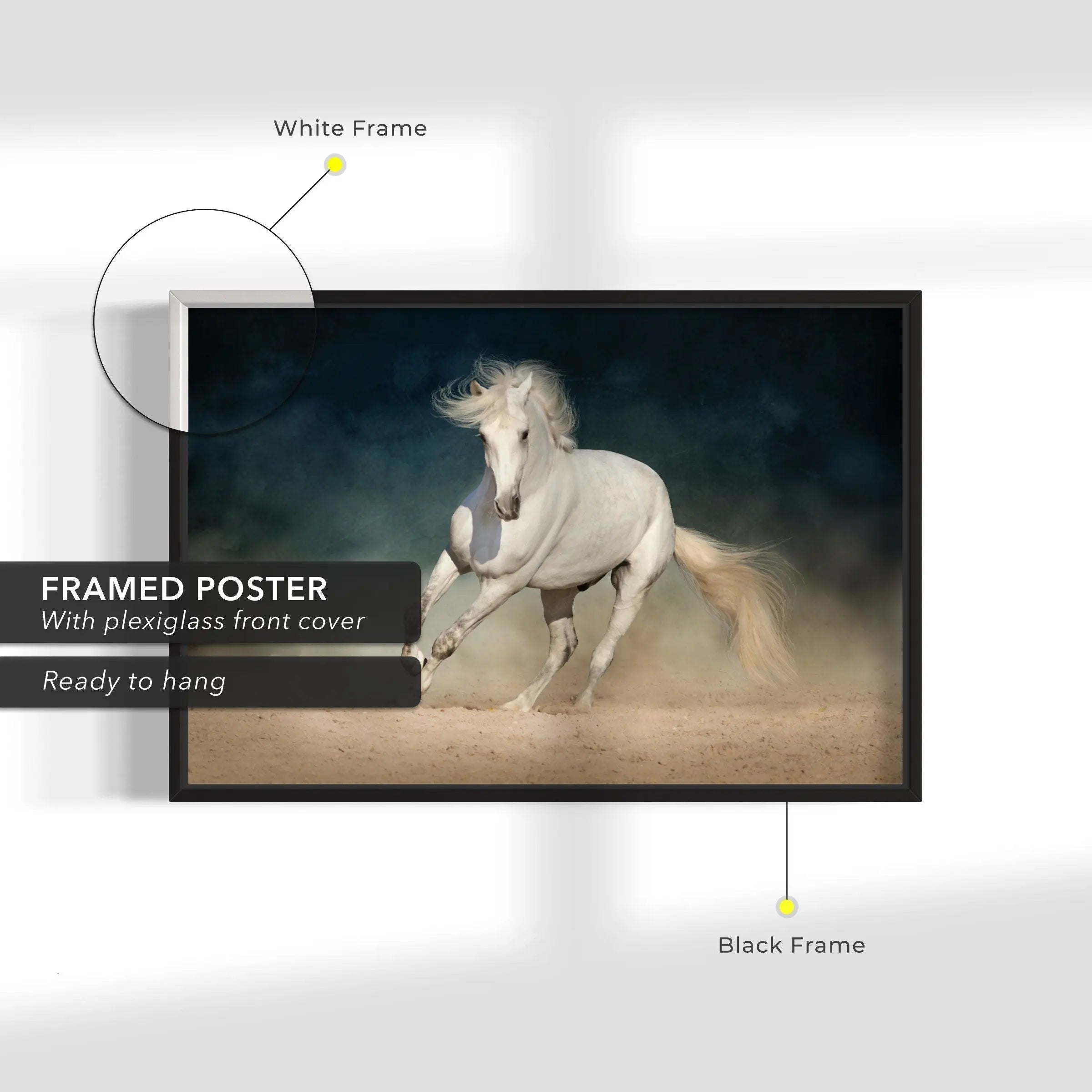 Wild White Horse Canvas Wall Art | Poster Print Canvastoria