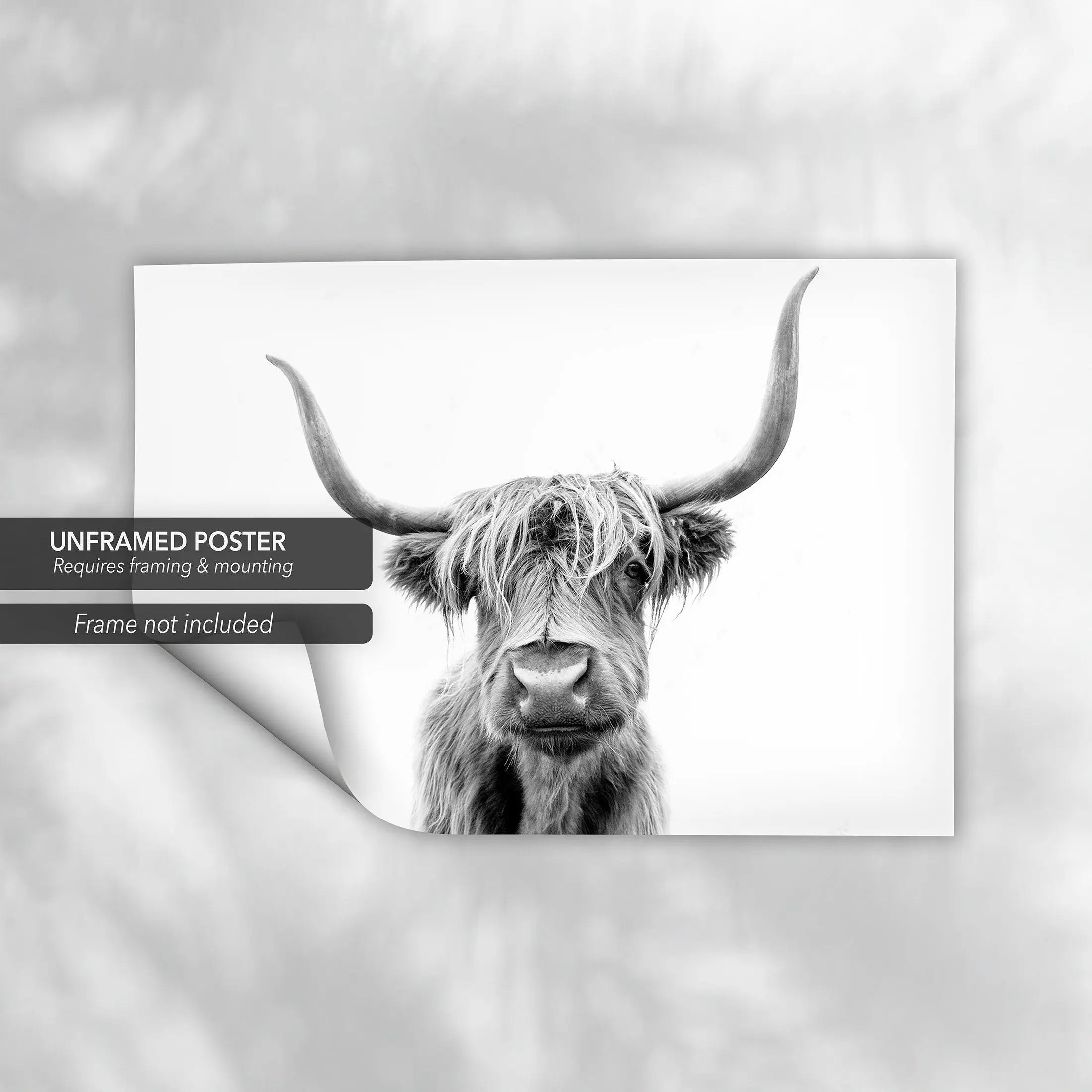 Highland Cow in Black & White Canvas Wall Art | Poster Print Canvastoria