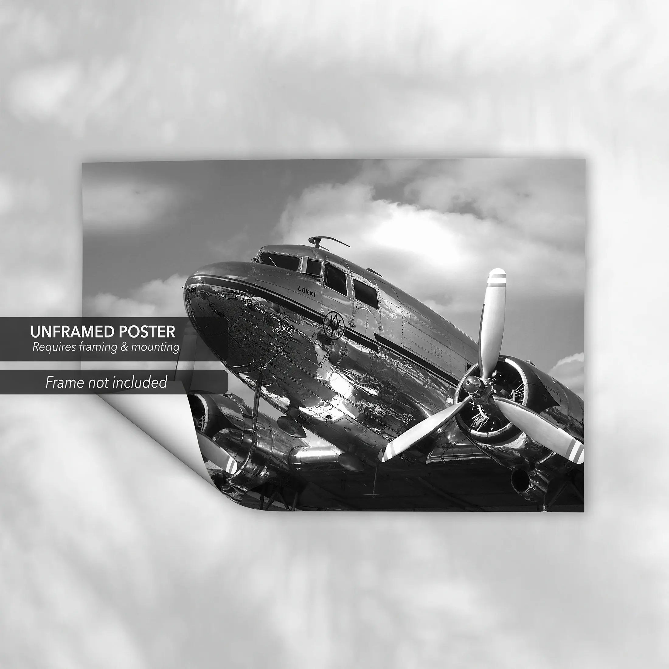 Douglas DC-3 Aircraft Canvas Wall Art | Poster Print Canvastoria