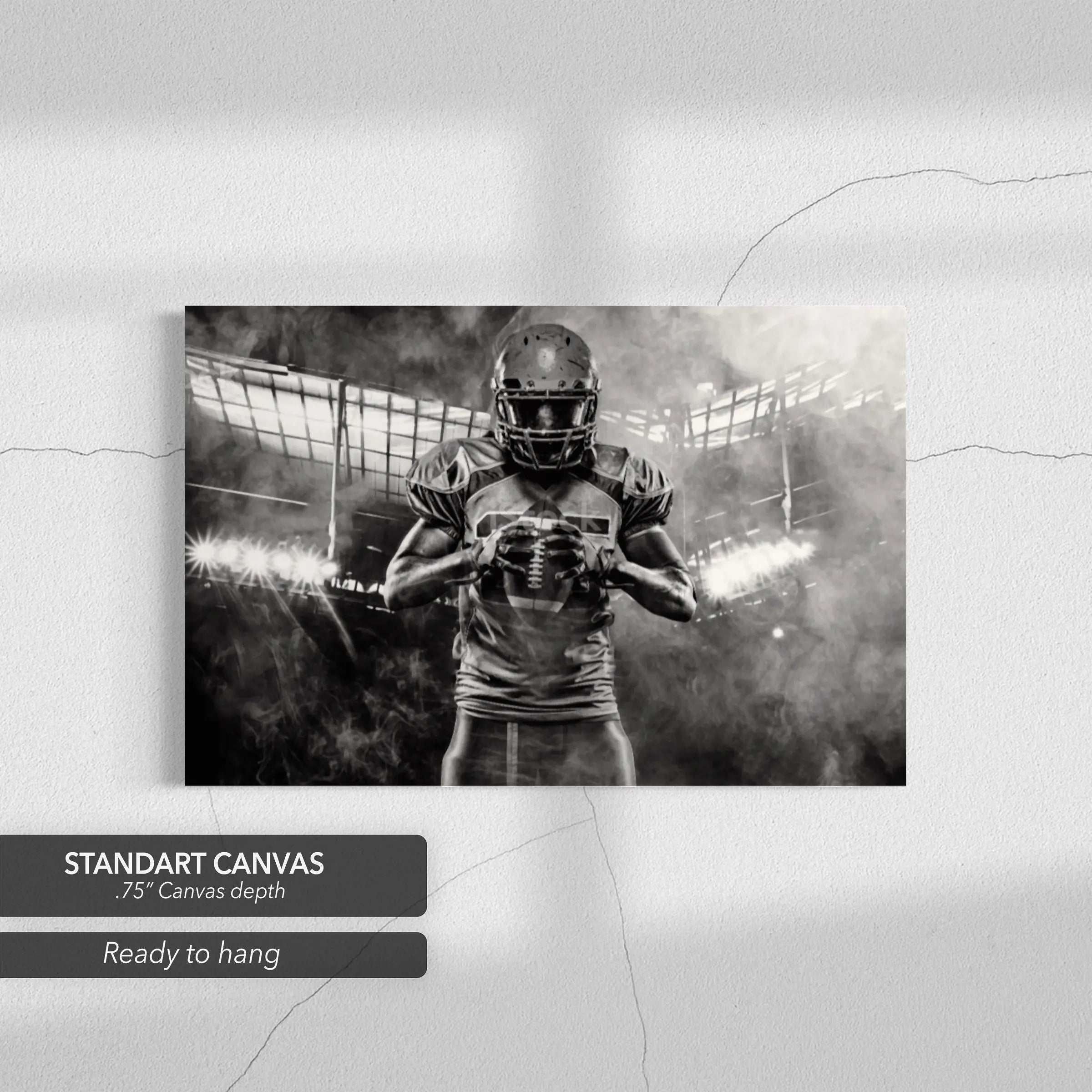 NFL Dream Canvas Wall Art | Poster Print - Canvastoria