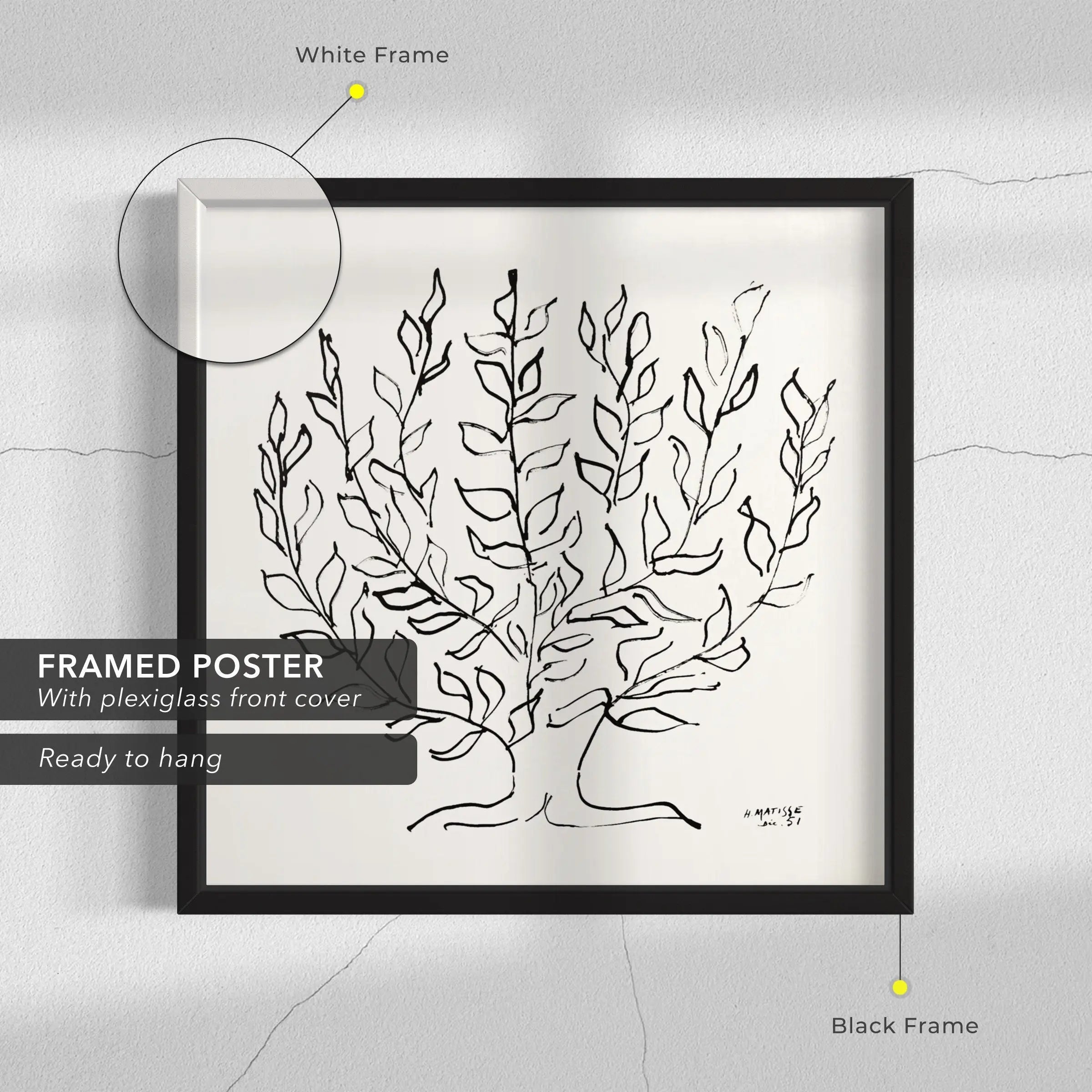 Henri Matisse 'Le Platane' Canvas Art | Poster Print - Canvastoria