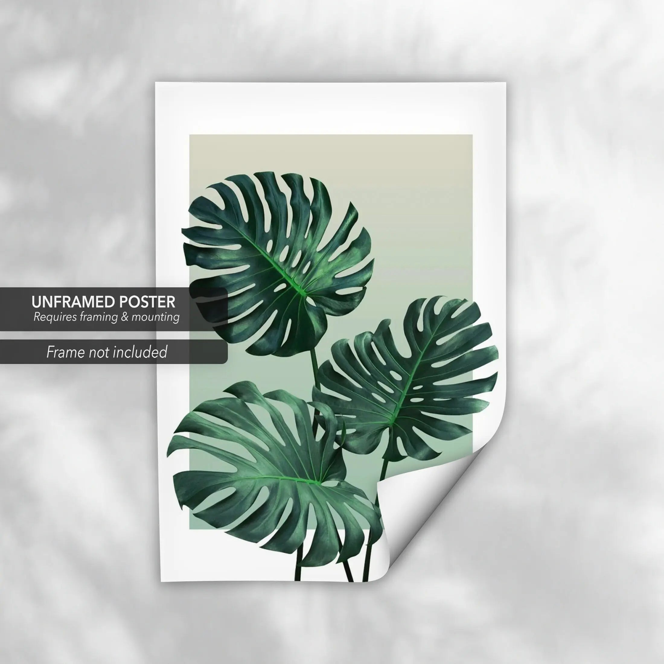 Monstera Leaves 2 Piece Set Canvas Art | Poster Prints - Canvastoria