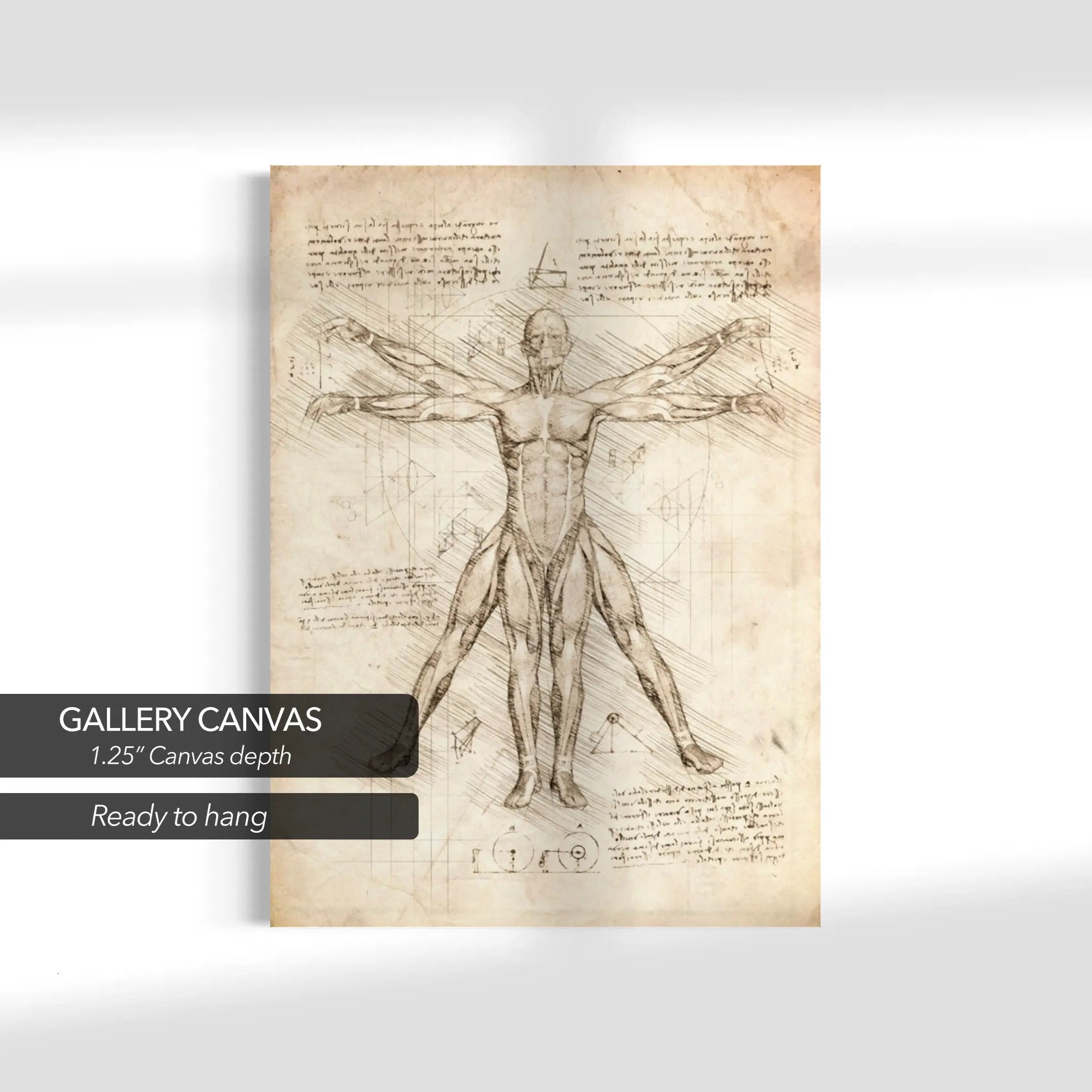 Leonardo da Vinci Vitruvian Man Canvas Art | Poster Prints - Canvastoria