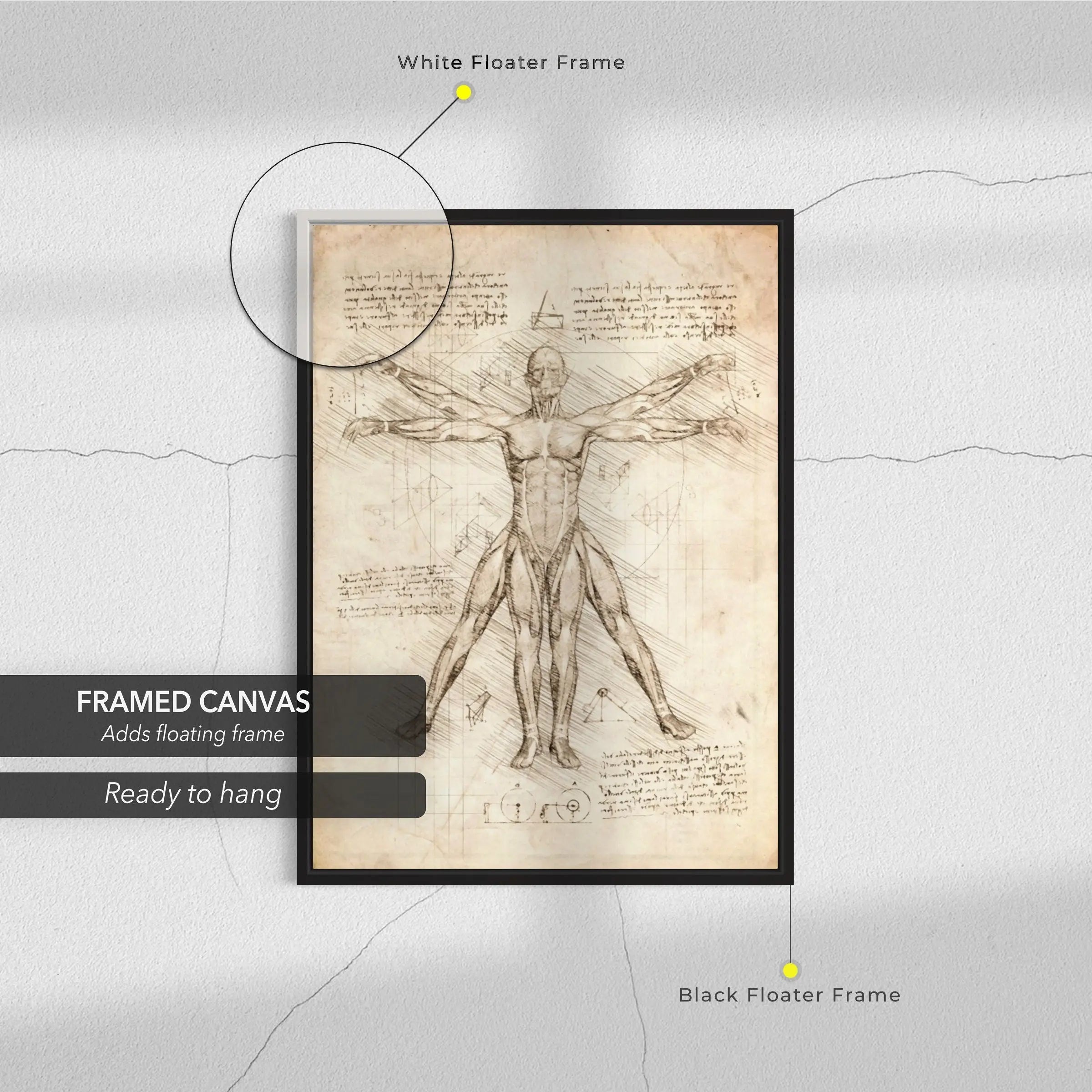 Leonardo da Vinci Vitruvian Man Canvas Art | Poster Prints - Canvastoria