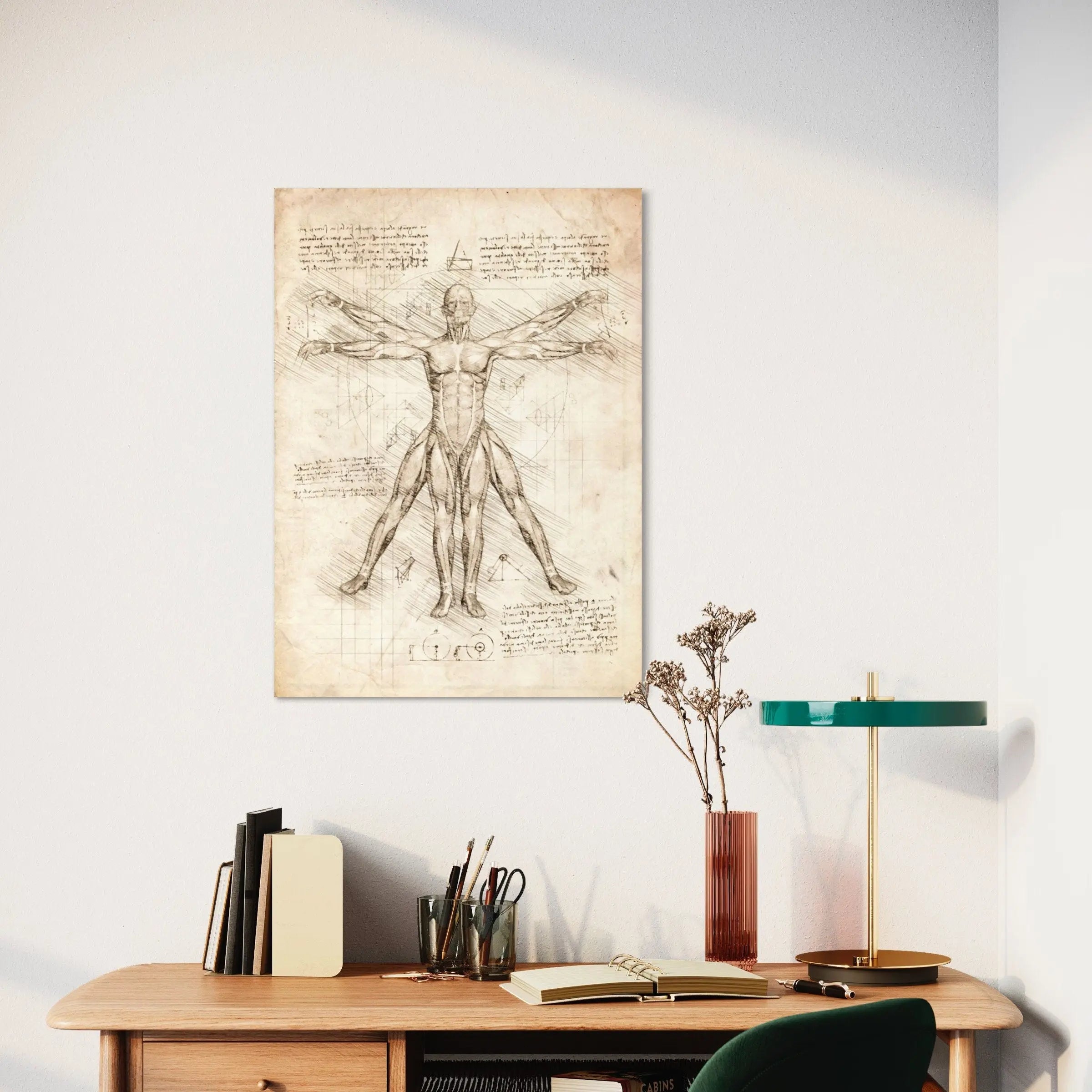 Leonardo da Vinci Vitruvian Man Canvas Art | Poster Prints - Canvastoria