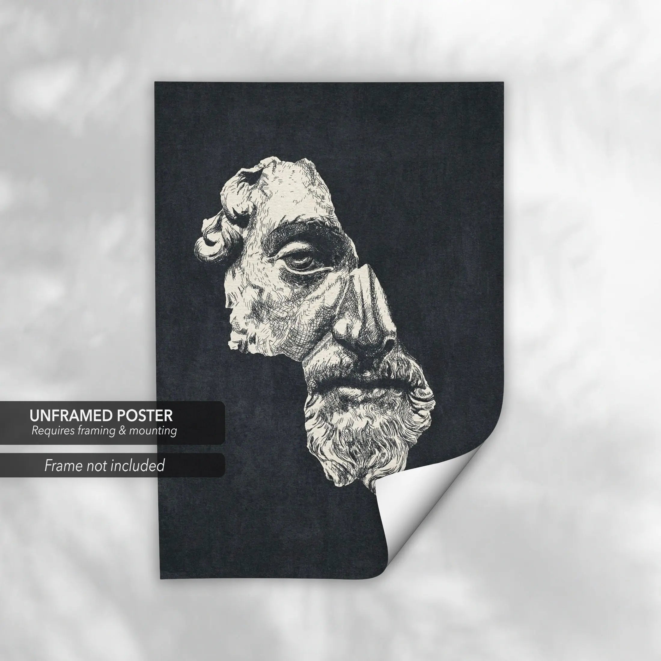 Marcus Aurelius Antoninus Canvas Art | Poster Print - Canvastoria