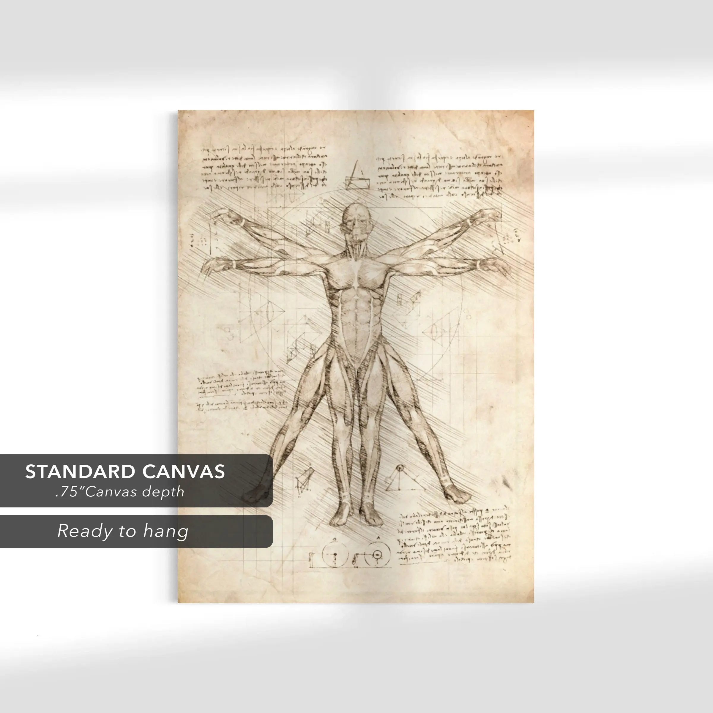 Leonardo da Vinci Vitruvian Man Canvas Art | Poster Prints - Canvastoria