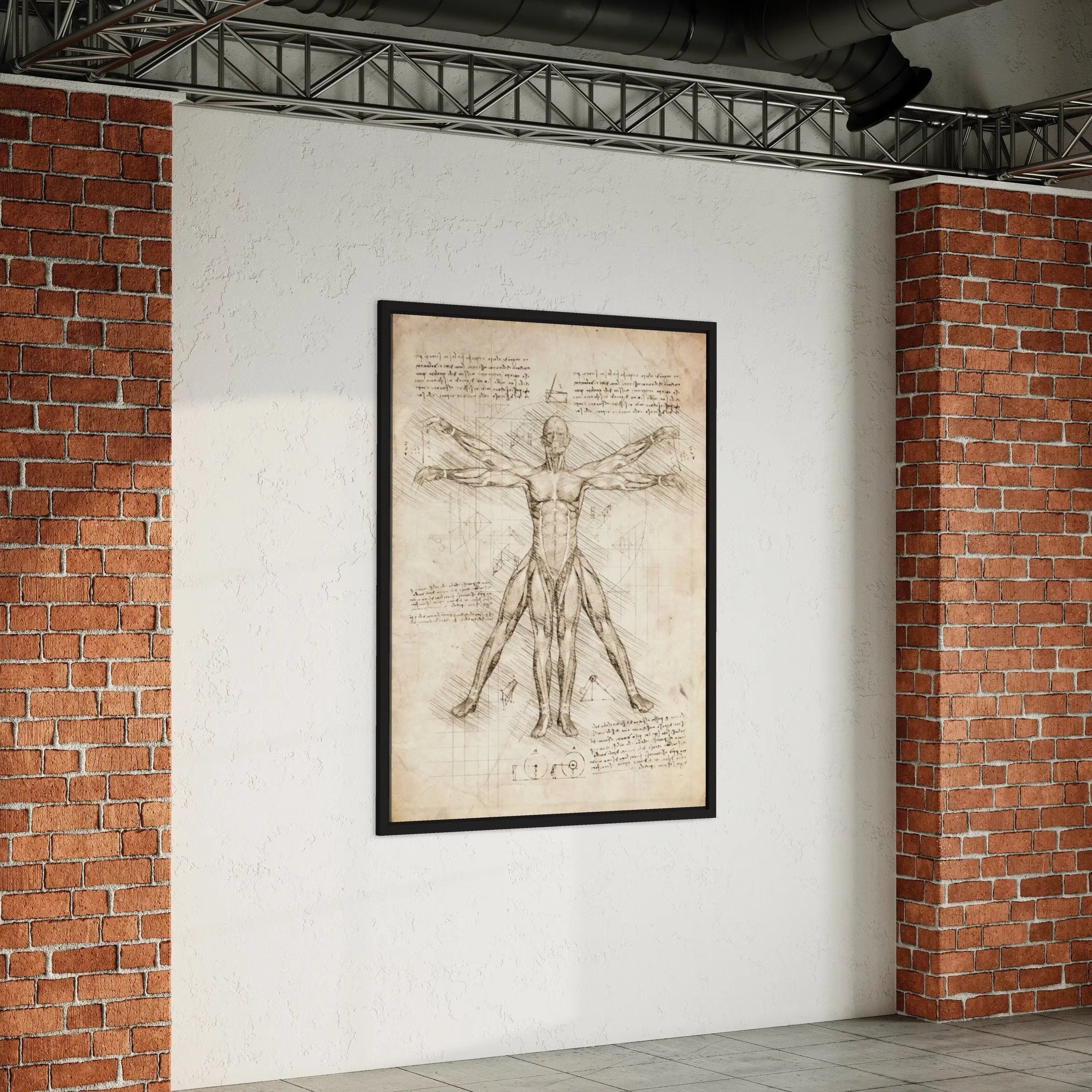 Leonardo da Vinci Vitruvian Man Canvas Art | Poster Prints - Canvastoria