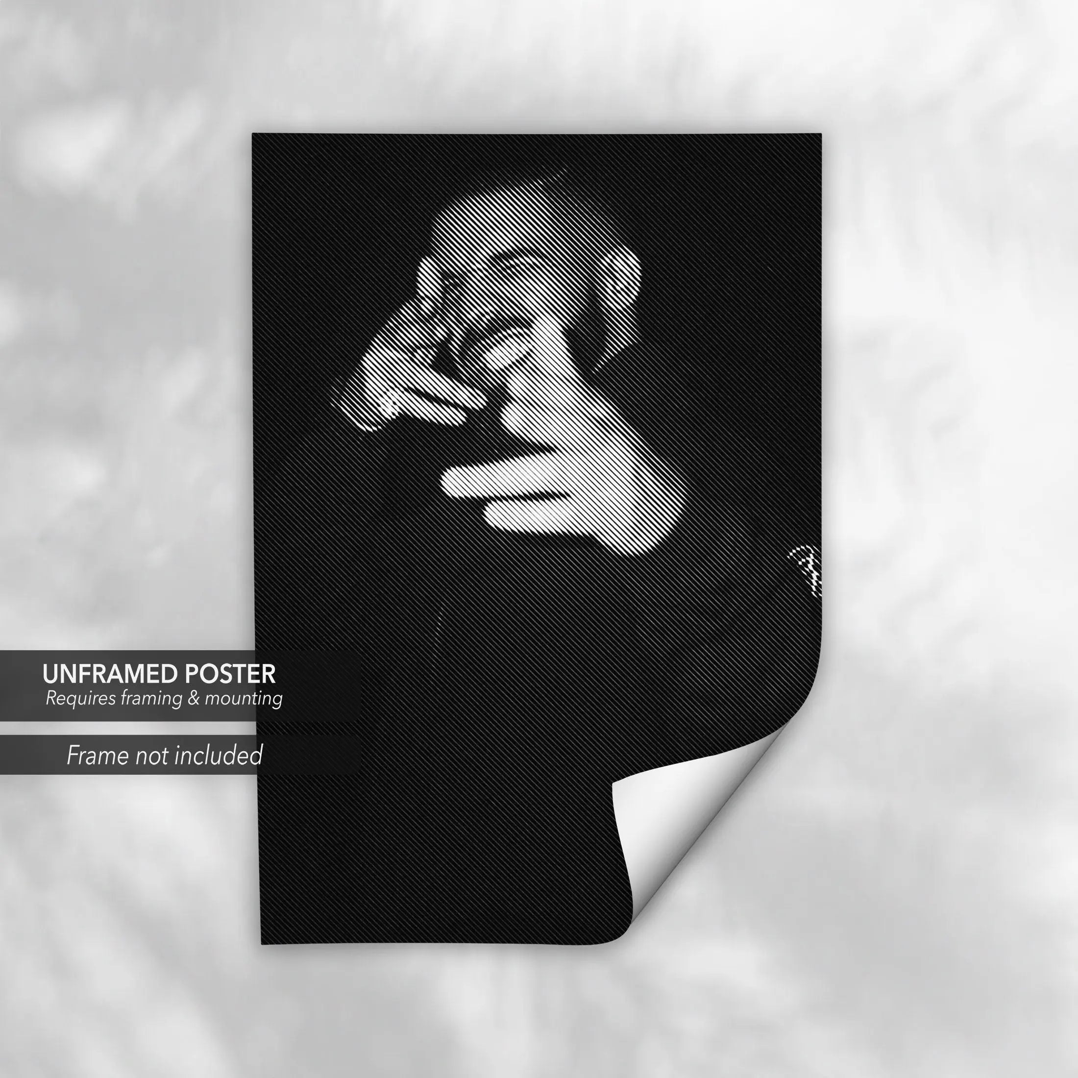 Drake Icon Portrait Canvas Art | Poster Print Canvastoria