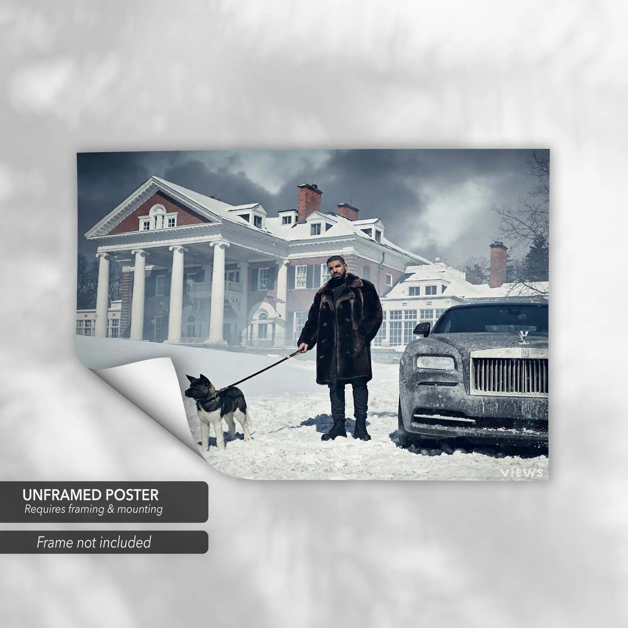 Drake Views Canvas Art | Poster Print Canvastoria