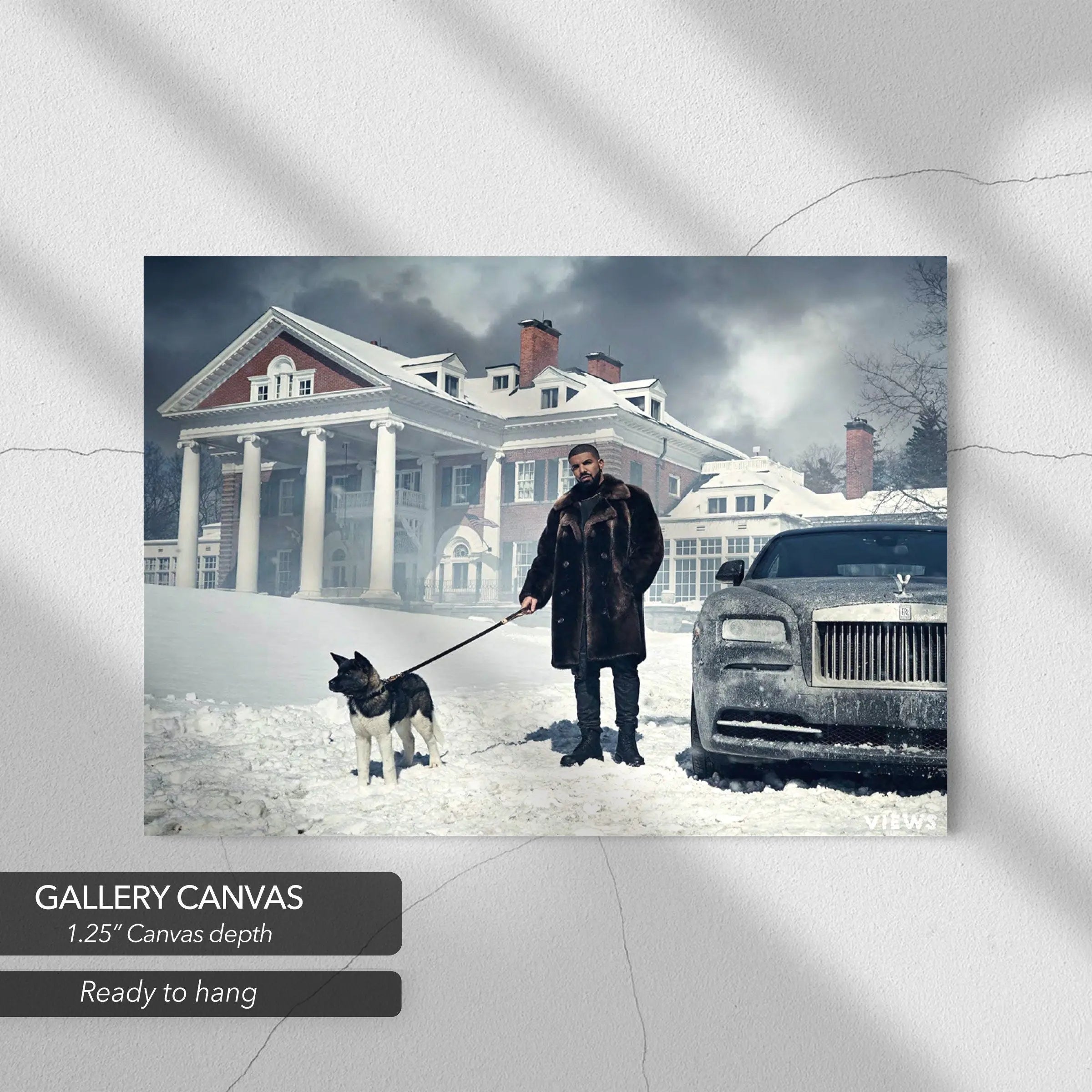 Drake Views Canvas Art | Poster Print Canvastoria