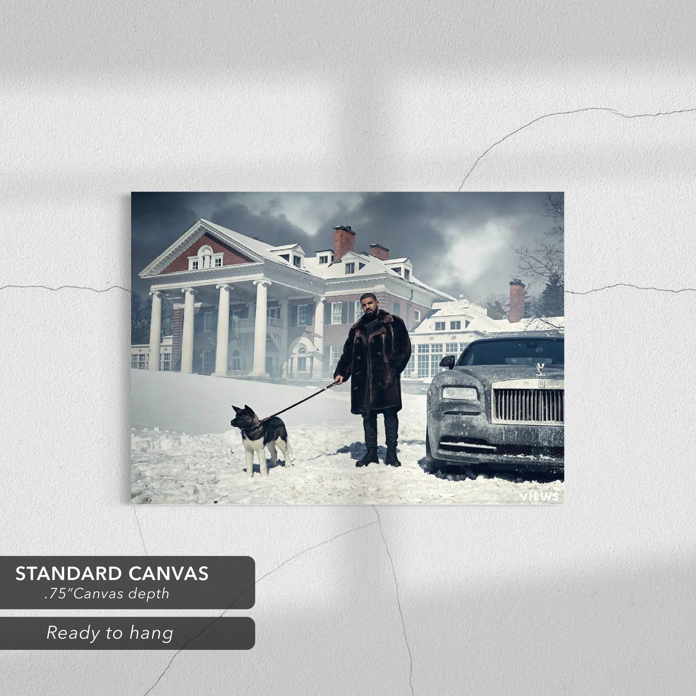 Drake Views Canvas Art | Poster Print Canvastoria