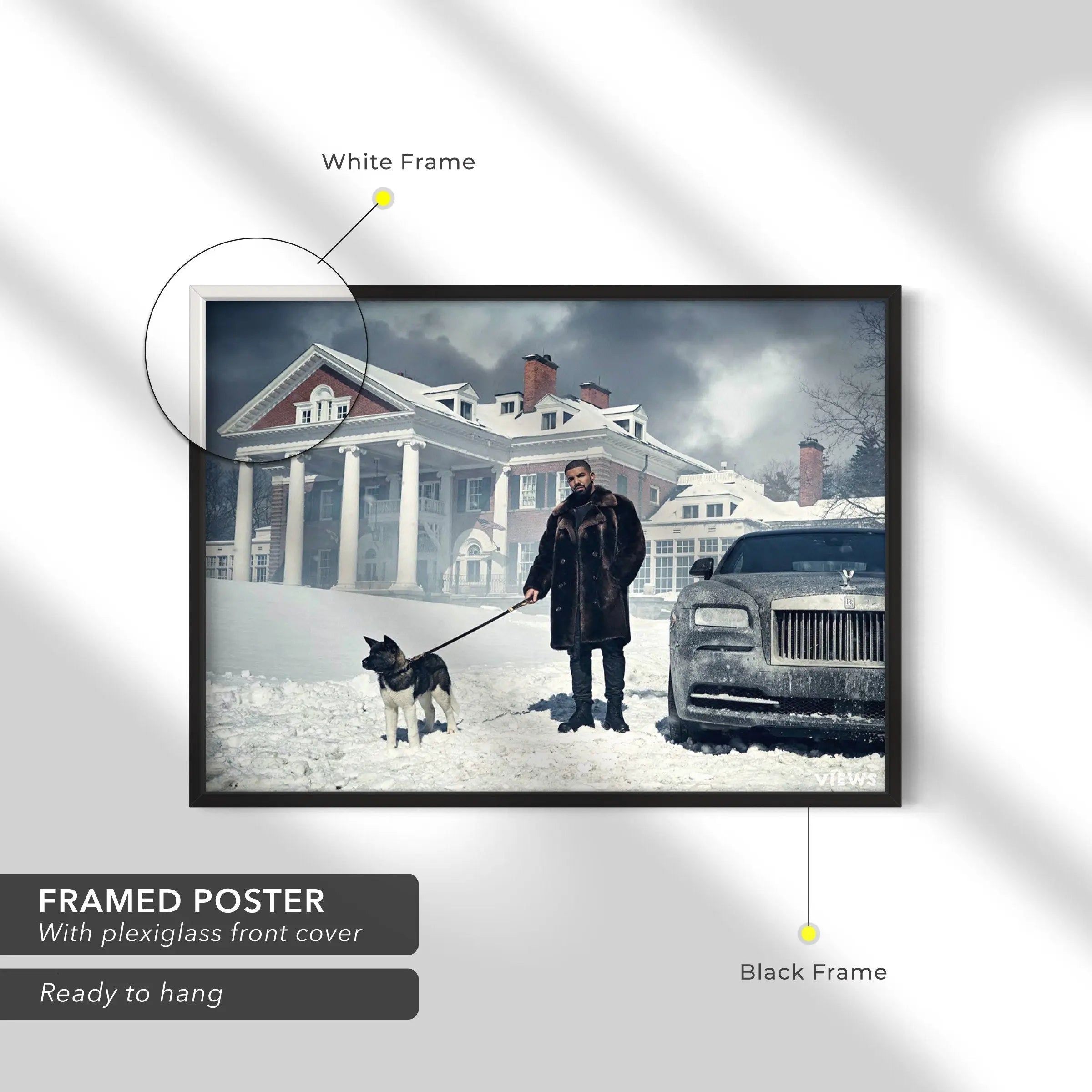 Drake Views Canvas Art | Poster Print Canvastoria