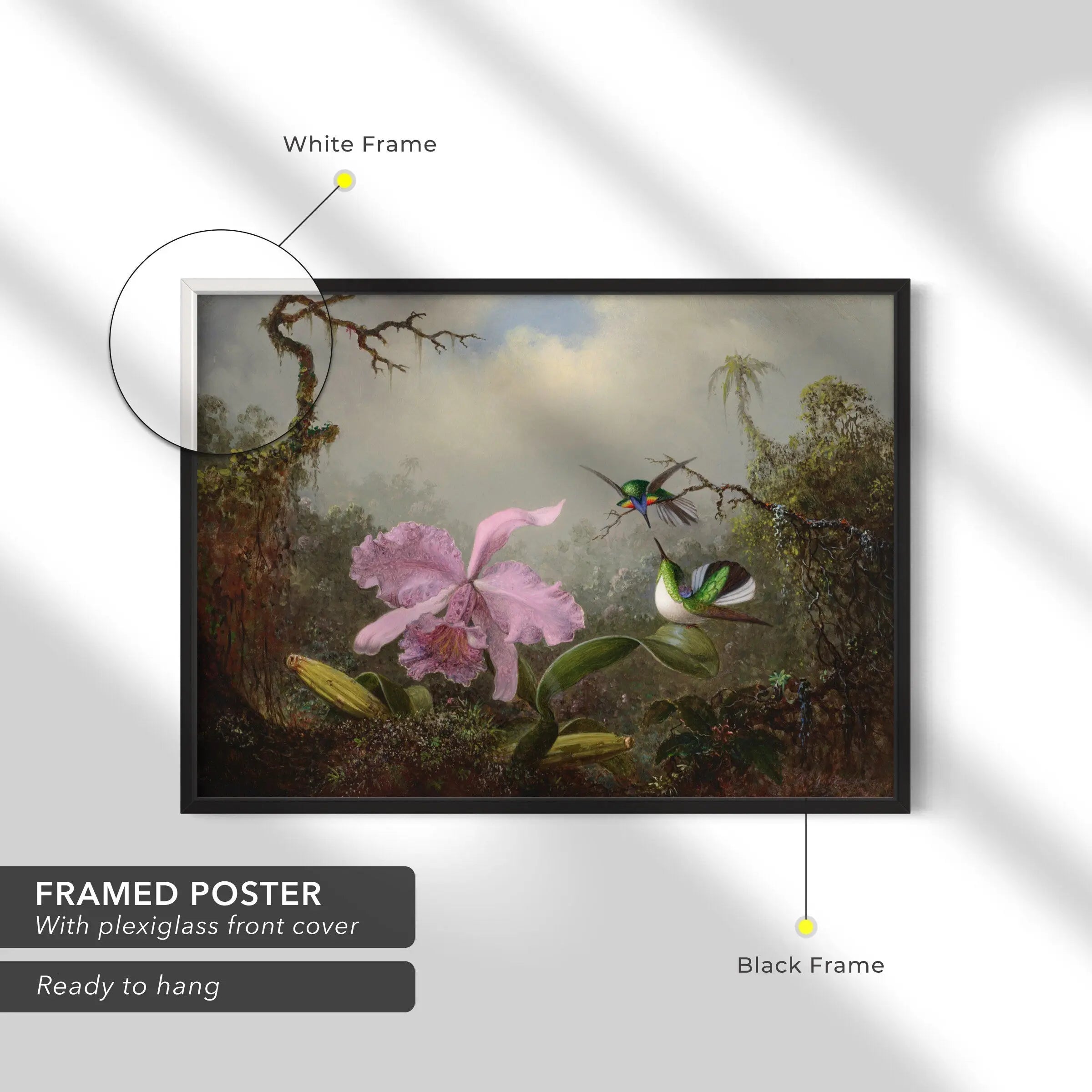 Martin Johnson Heade Cattleya Orchid Canvas Art | Poster Print Canvastoria