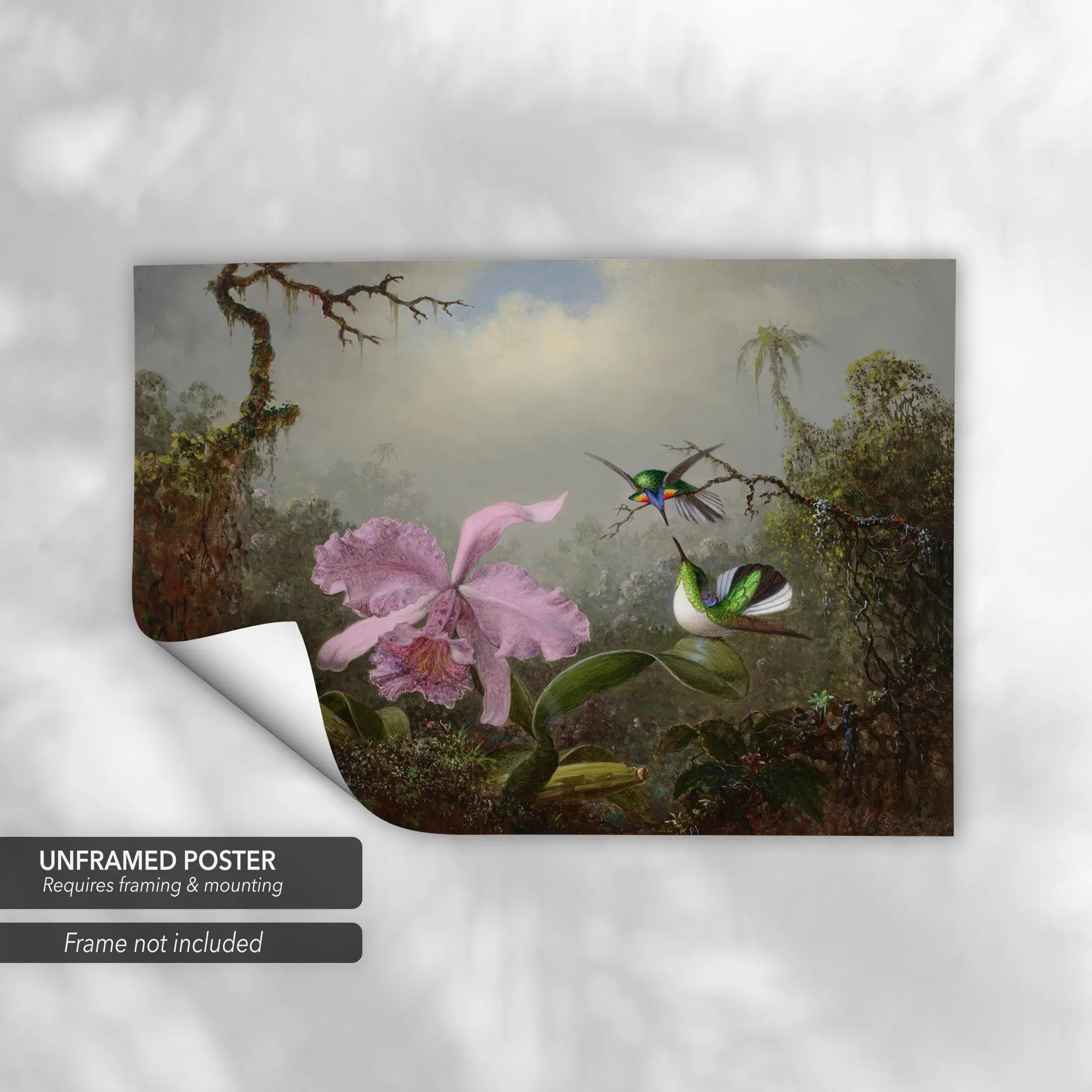 Martin Johnson Heade Cattleya Orchid Canvas Art | Poster Print Canvastoria