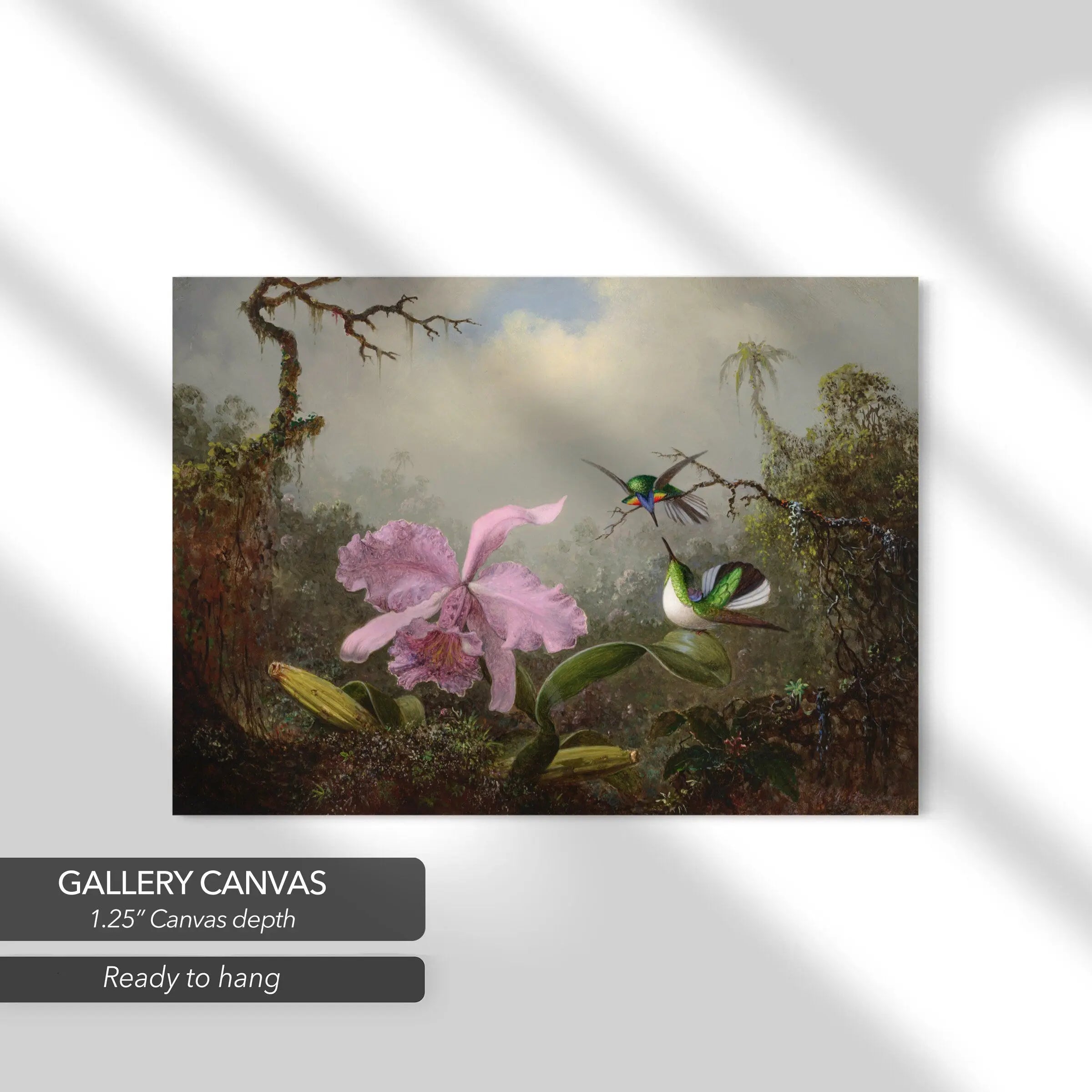 Martin Johnson Heade Cattleya Orchid Canvas Art | Poster Print Canvastoria