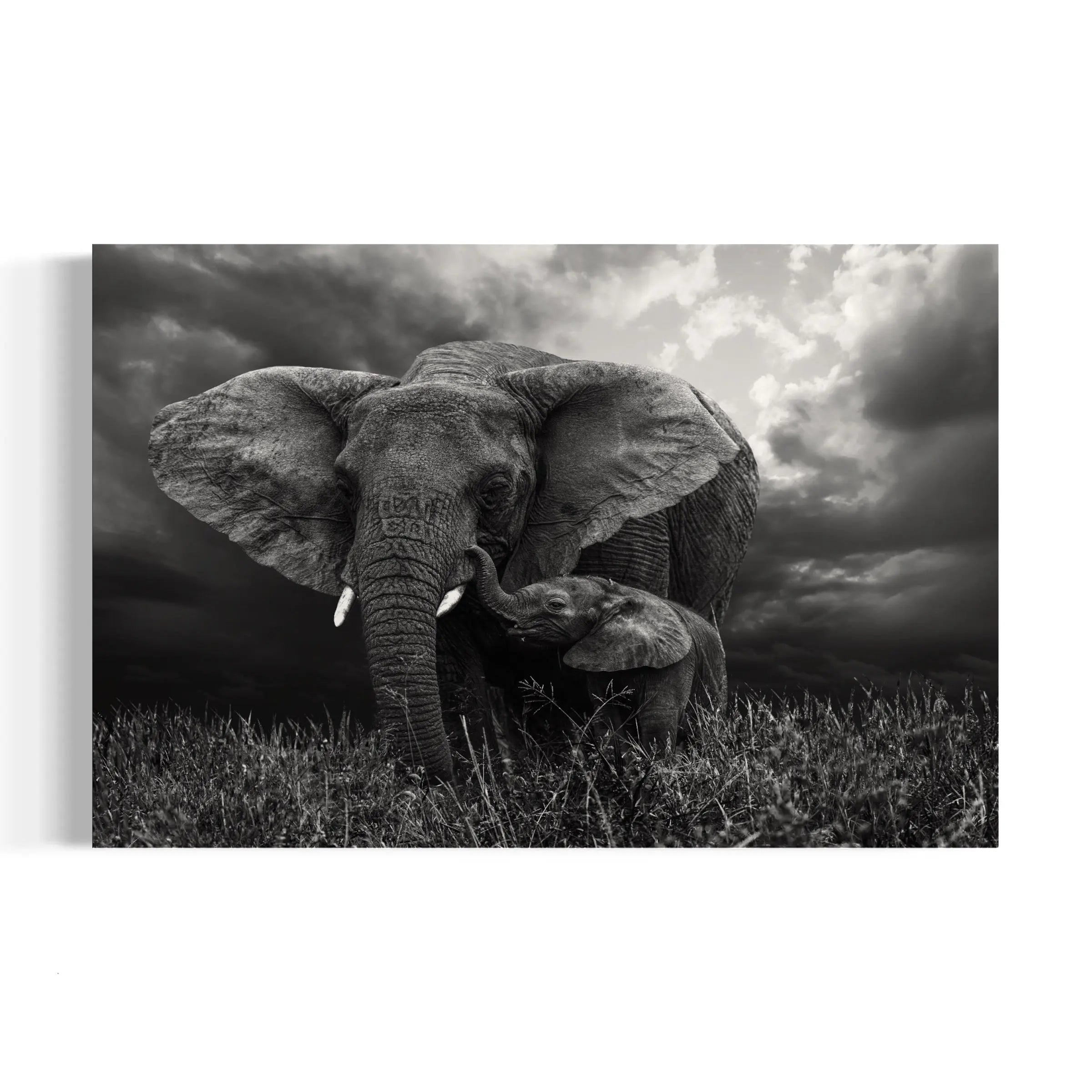 a black and white photo of an elephant and its baby