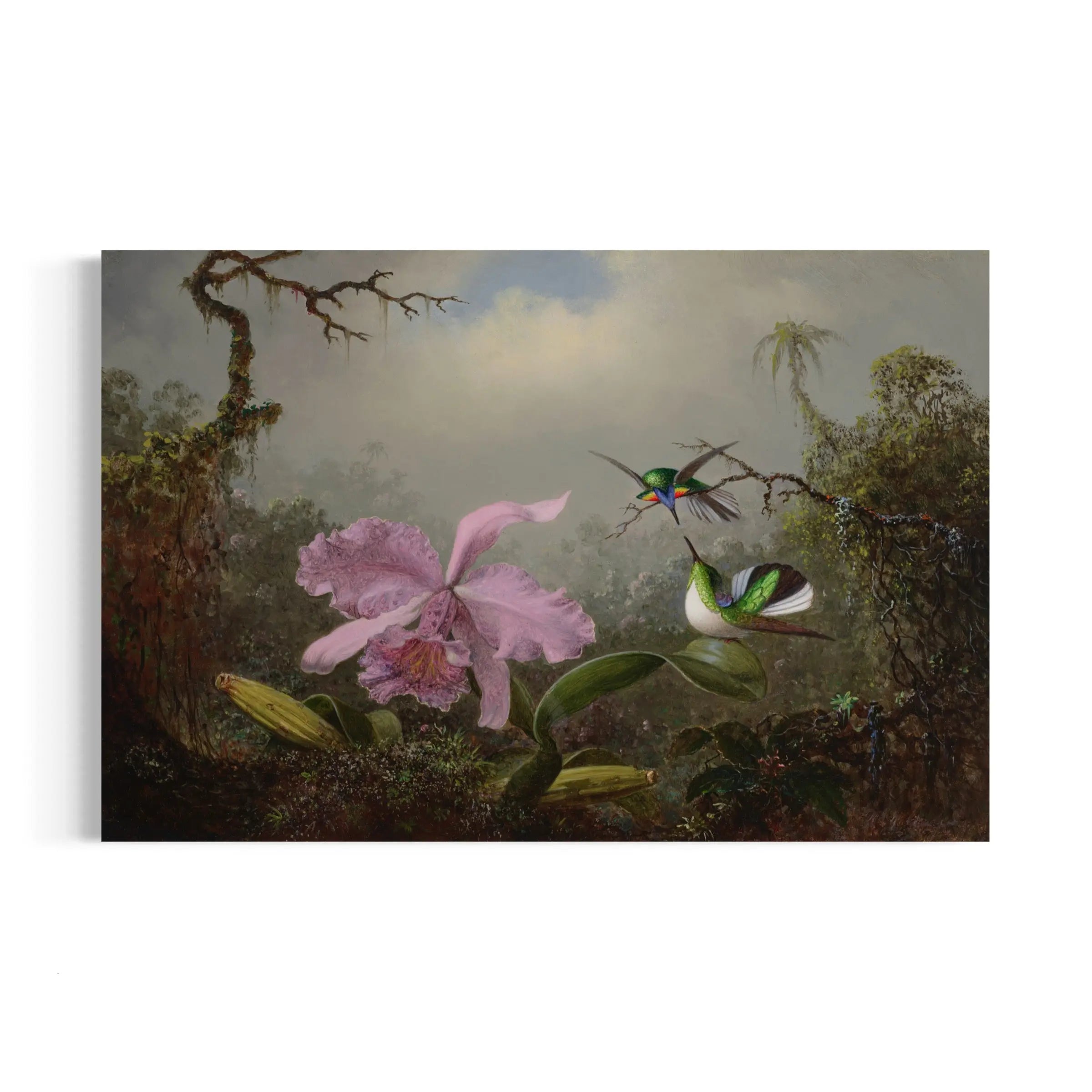 a painting of a hummingbird and a pink flower